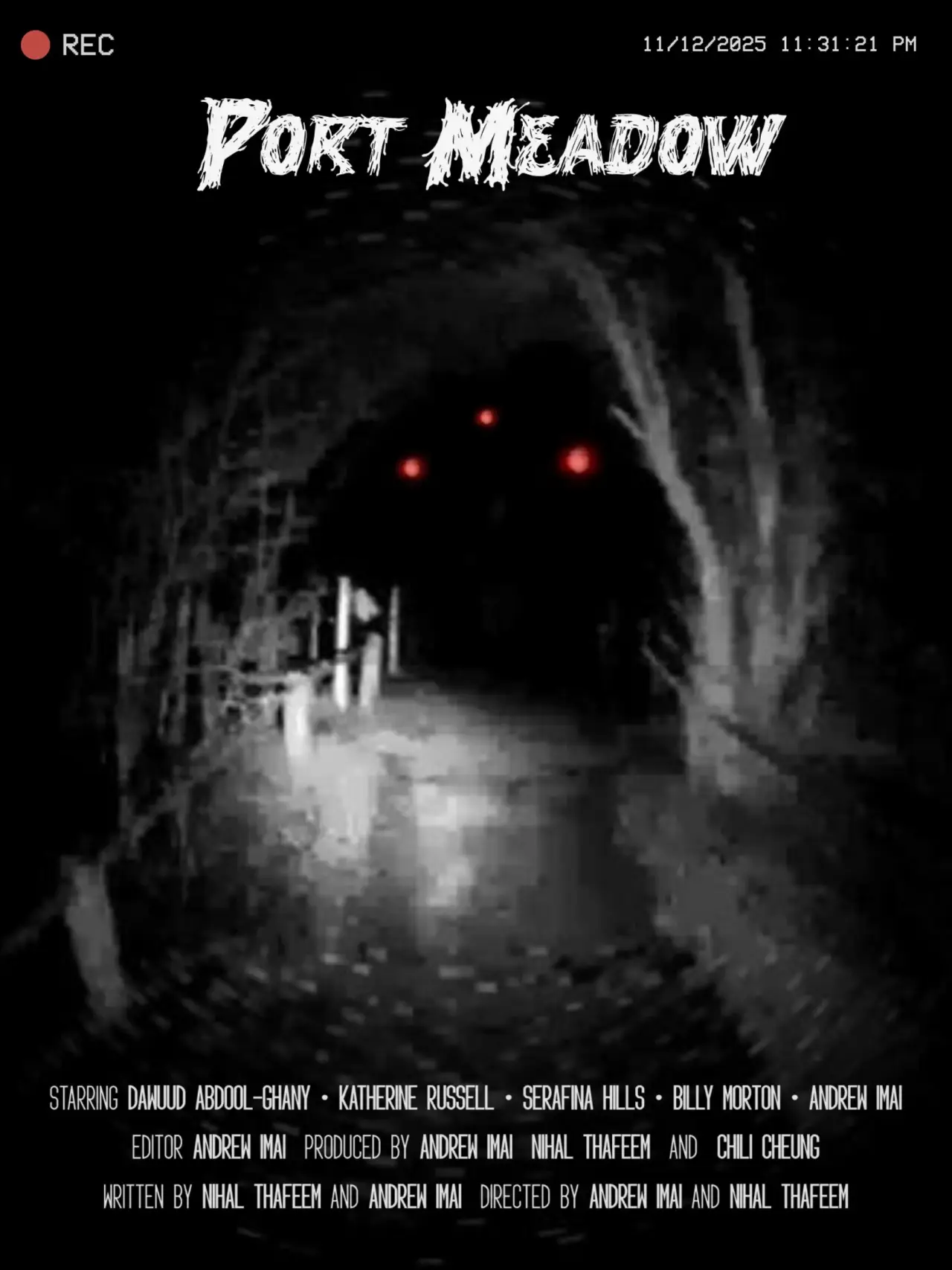 Постер к фильму "Port Meadow"