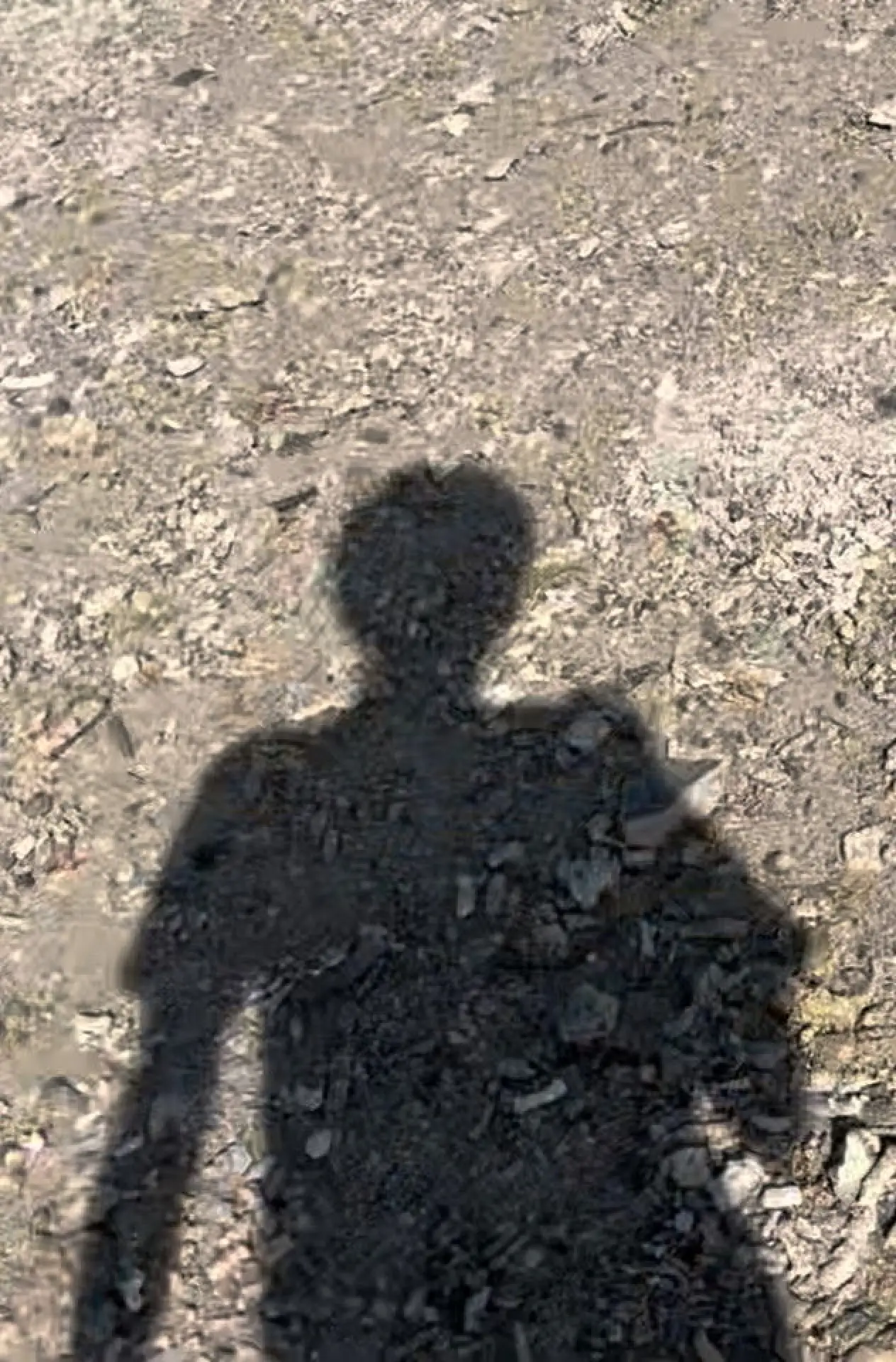Постер к фильму "going outside so i wouldn