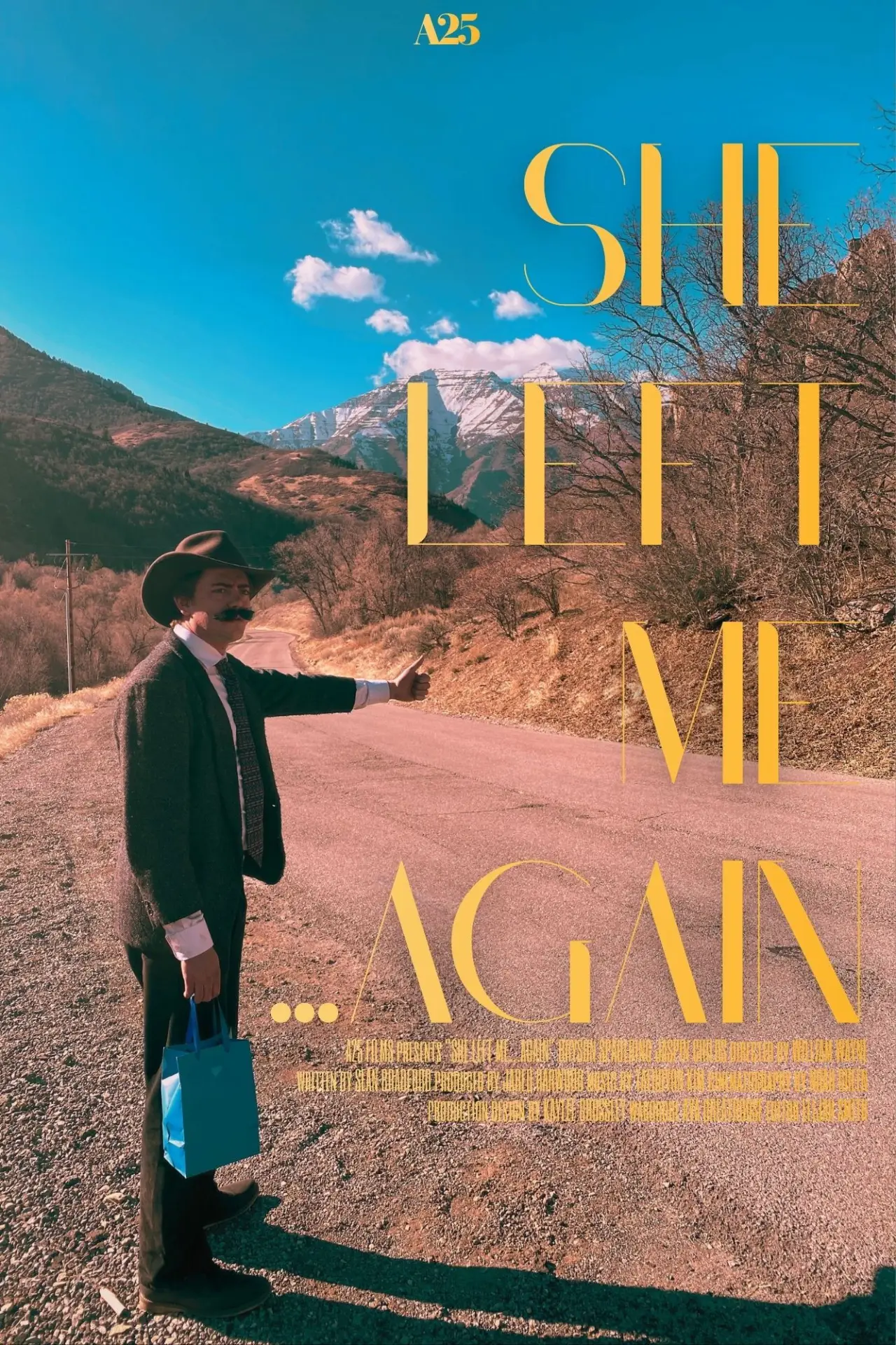Постер к фильму "She Left me...Again"