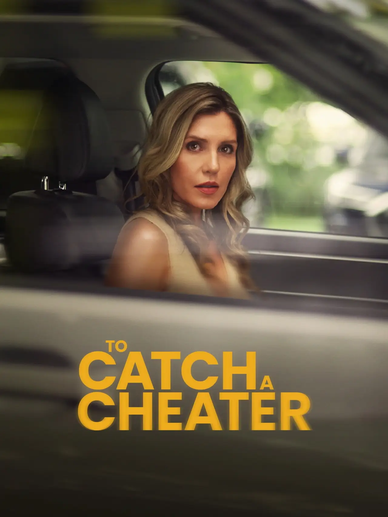 Постер к фильму "To Catch a Cheater"