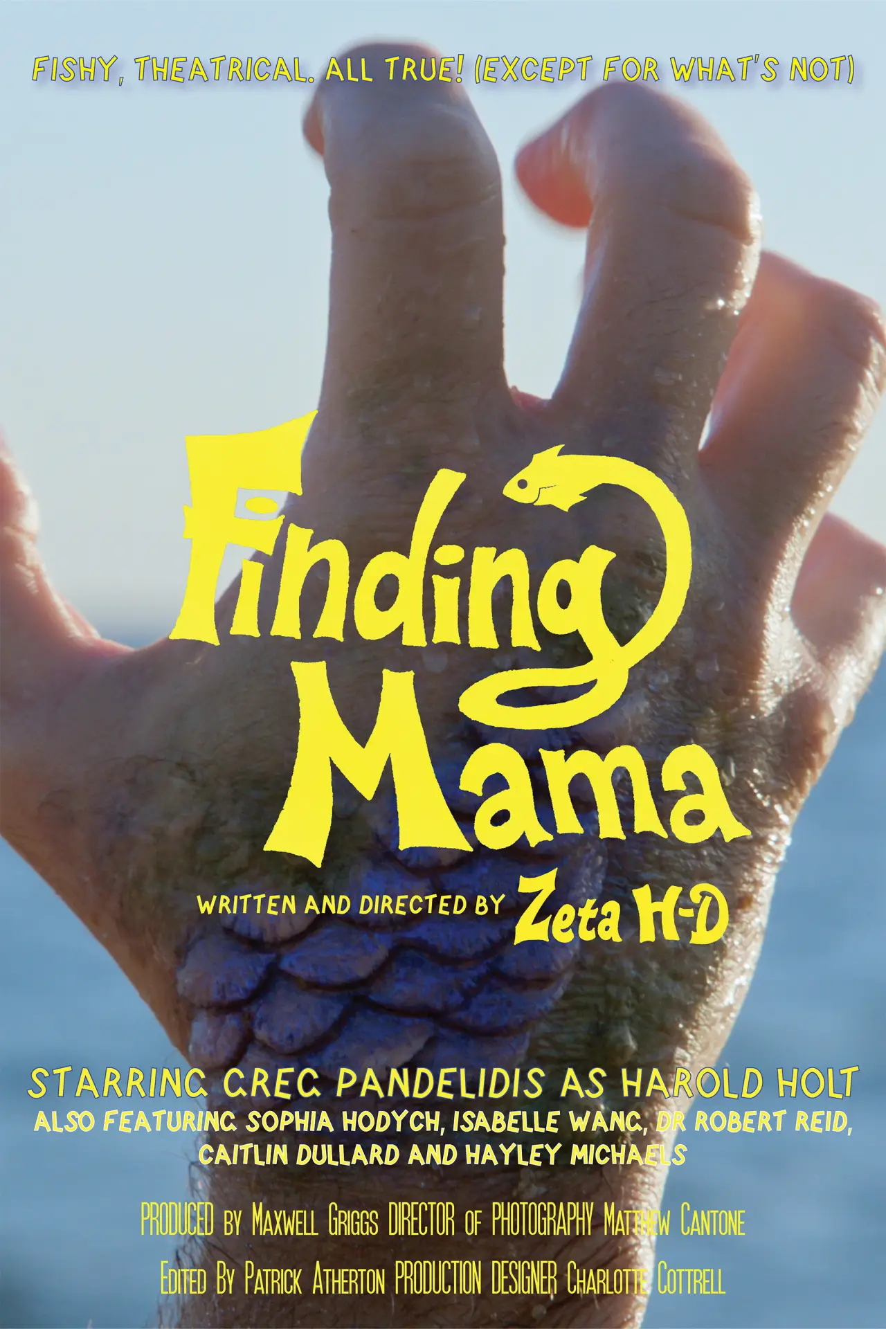 Постер к фильму "Finding Mama"