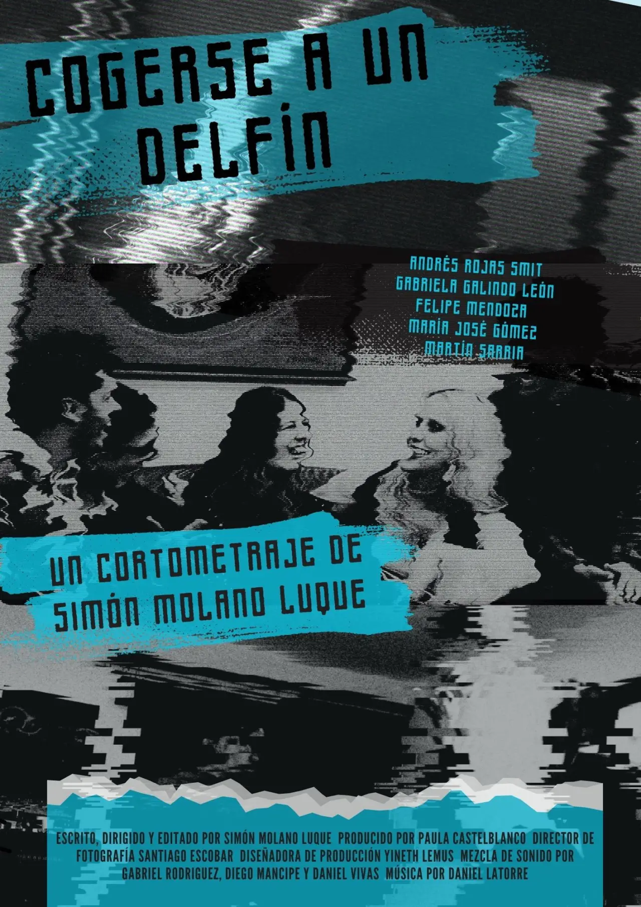 Постер к фильму "Cogerse a un Delfín"