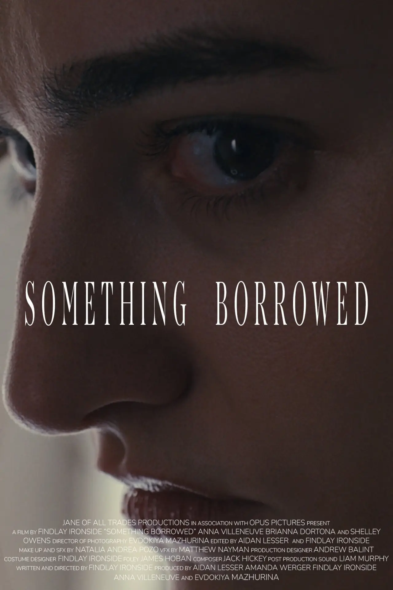 Постер к фильму "Something Borrowed"