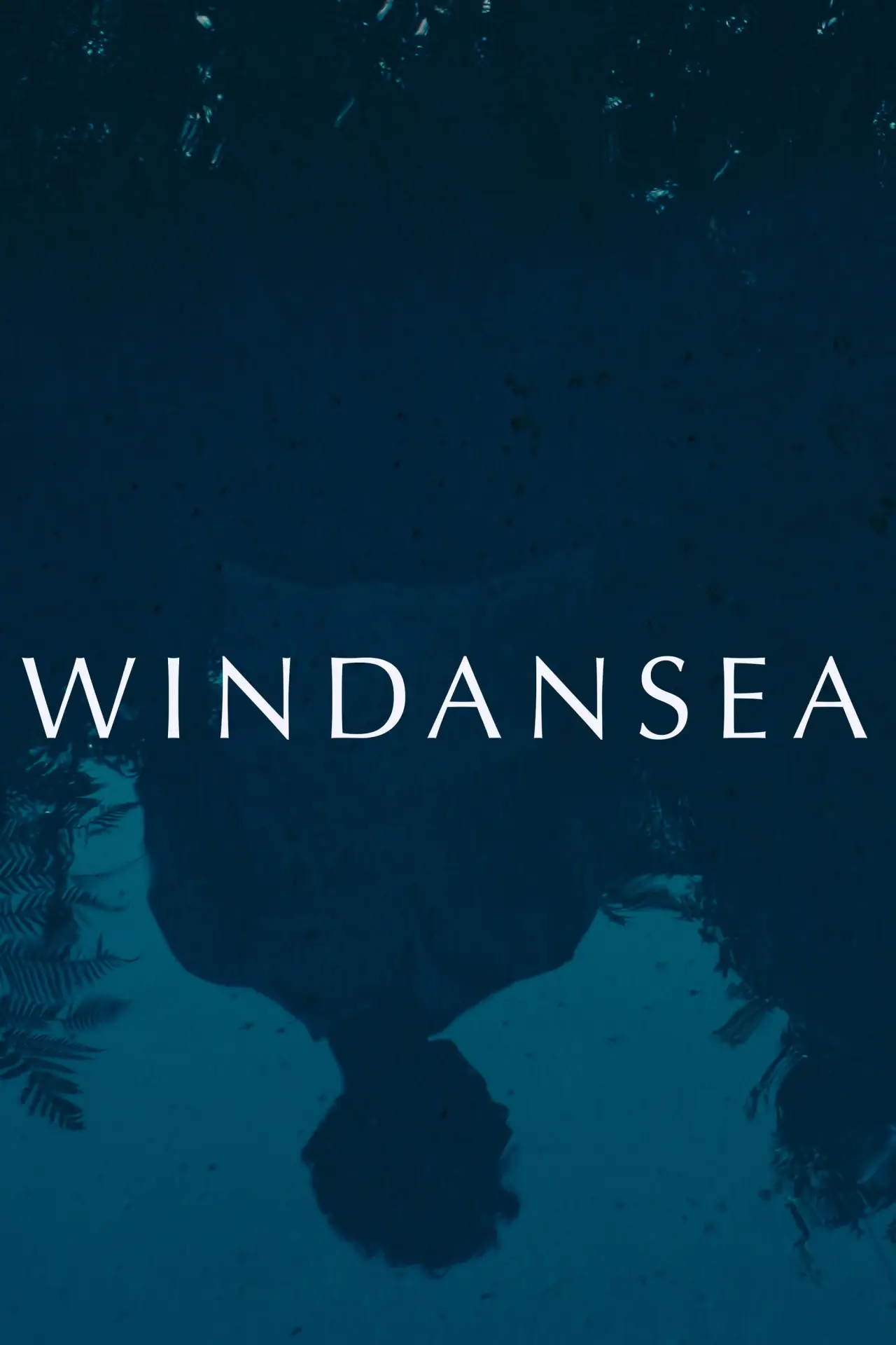 Постер к фильму "Windansea"
