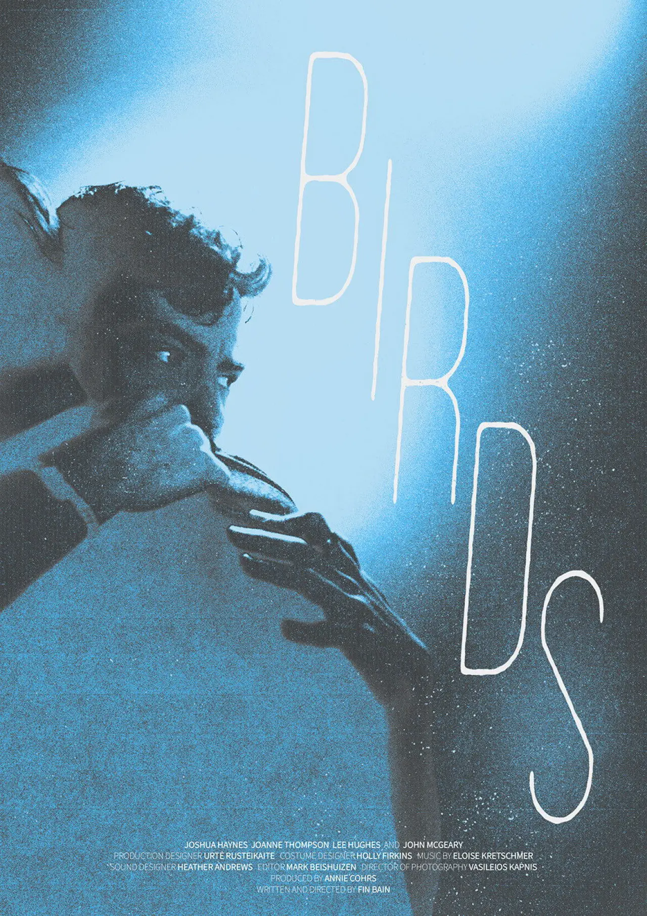 Постер к фильму "Birds"