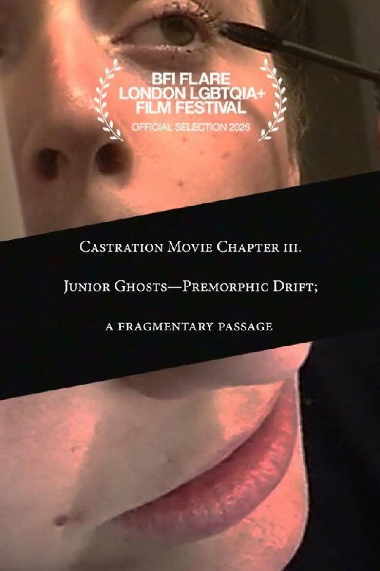 Постер к фильму "Castration Movie Chapter iii.ii Junior Ghosts—Premorphic Drift; a fragmentary passage"