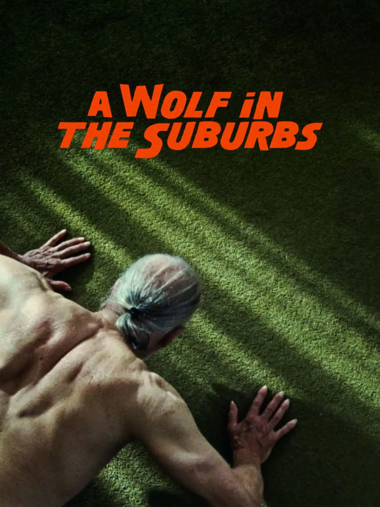 Постер к фильму "A Wolf in the Suburbs"