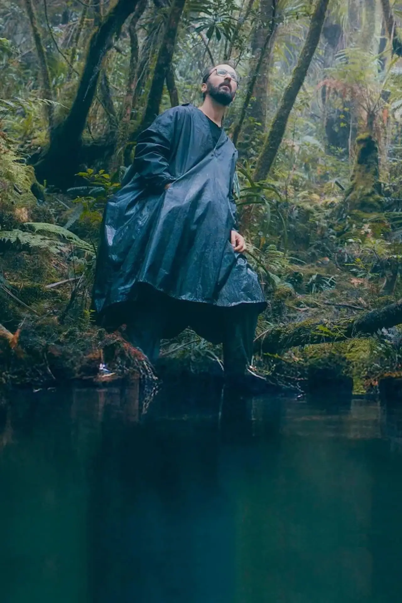 Постер к фильму "La forêt d