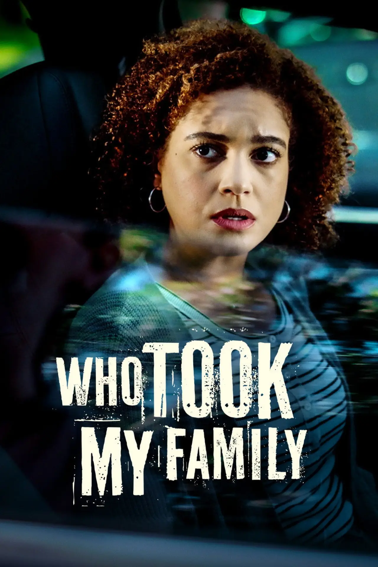 Постер к фильму "Who Took My Family"