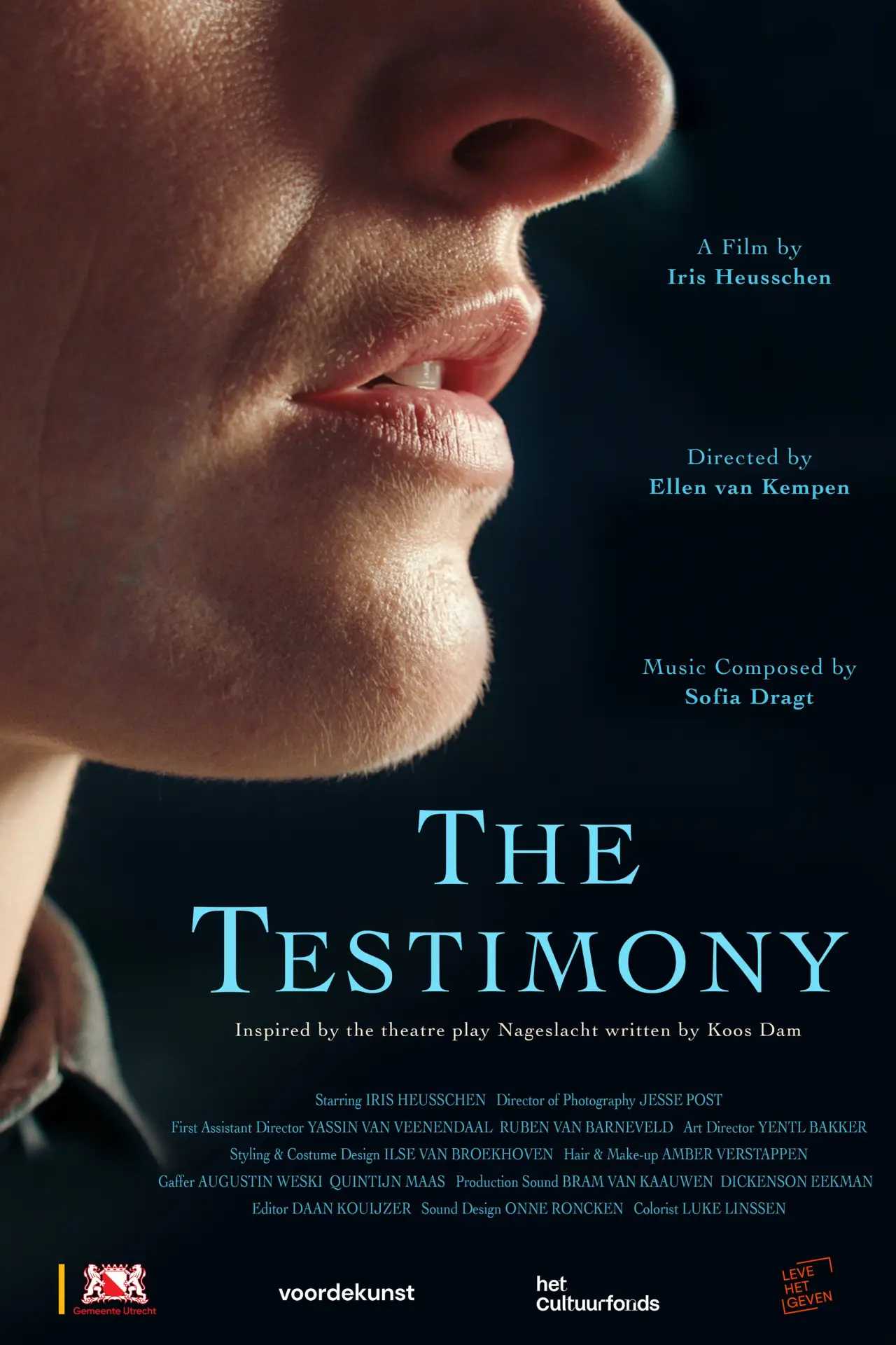 Постер к фильму "The Testimony"
