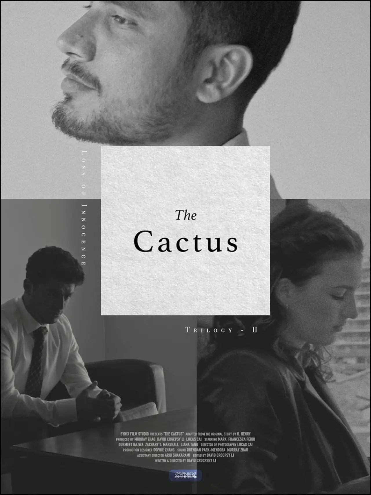 Постер к фильму "The Cactus"