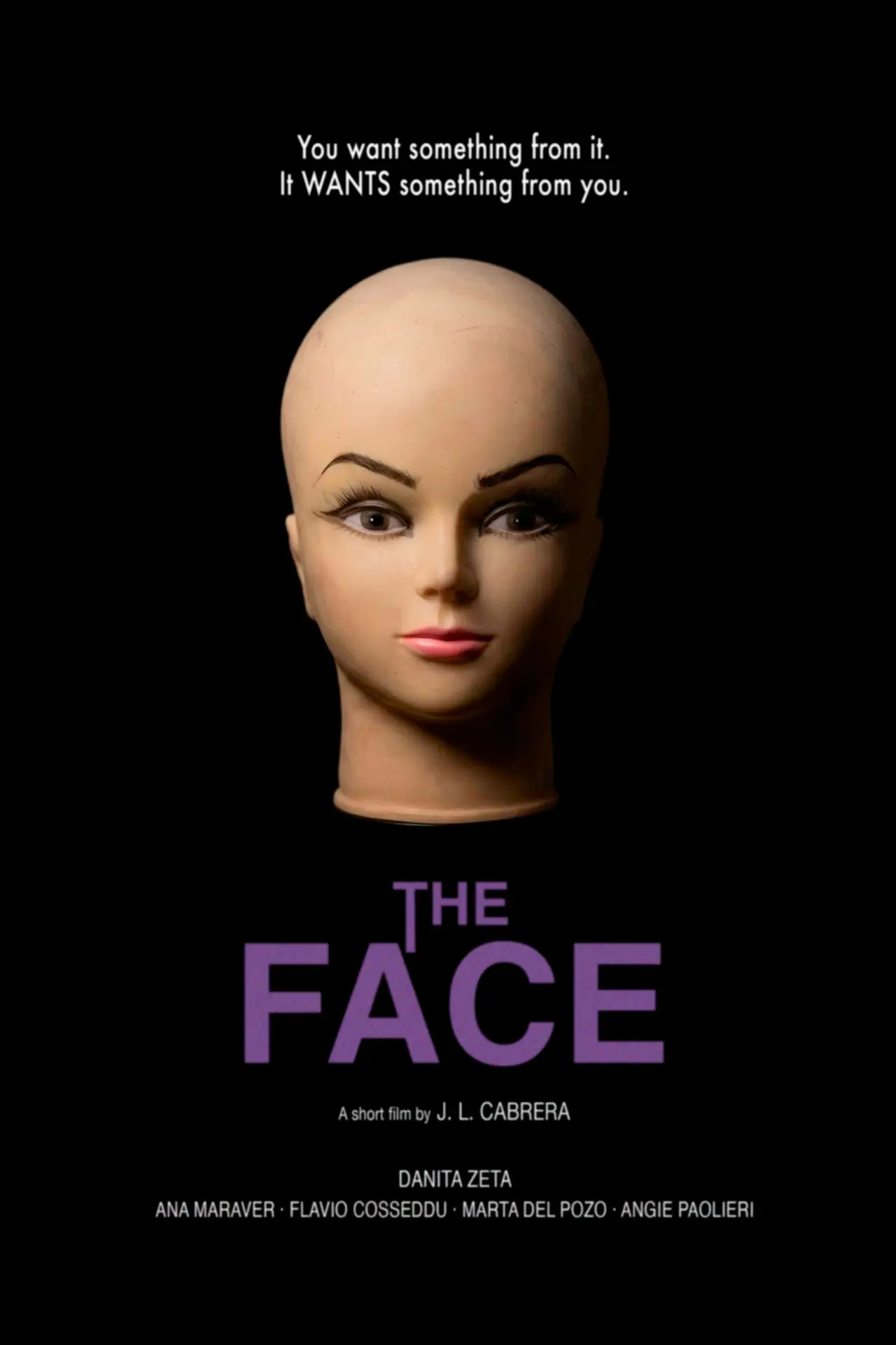 Постер к фильму "The Face"