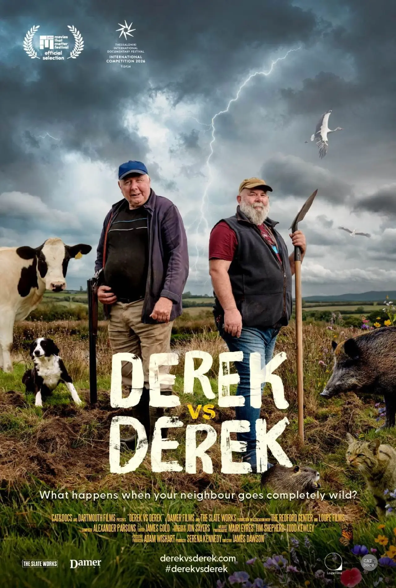 Постер к фильму "Derek vs Derek"