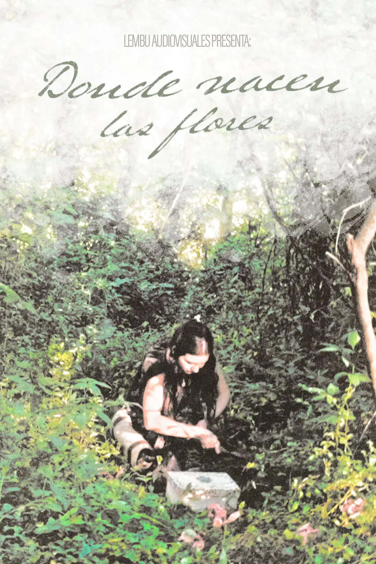 Постер к фильму "Donde Nacen Las Flores"