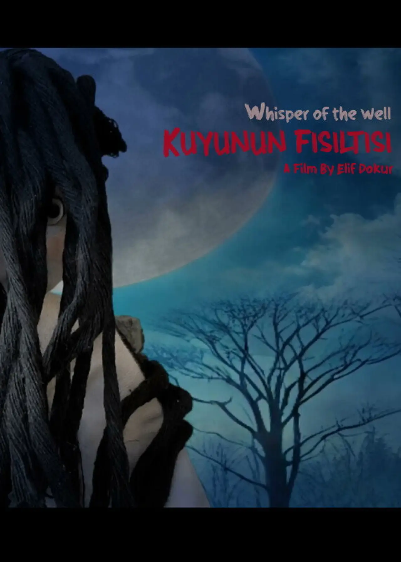 Постер к фильму "Whisper of the Well"