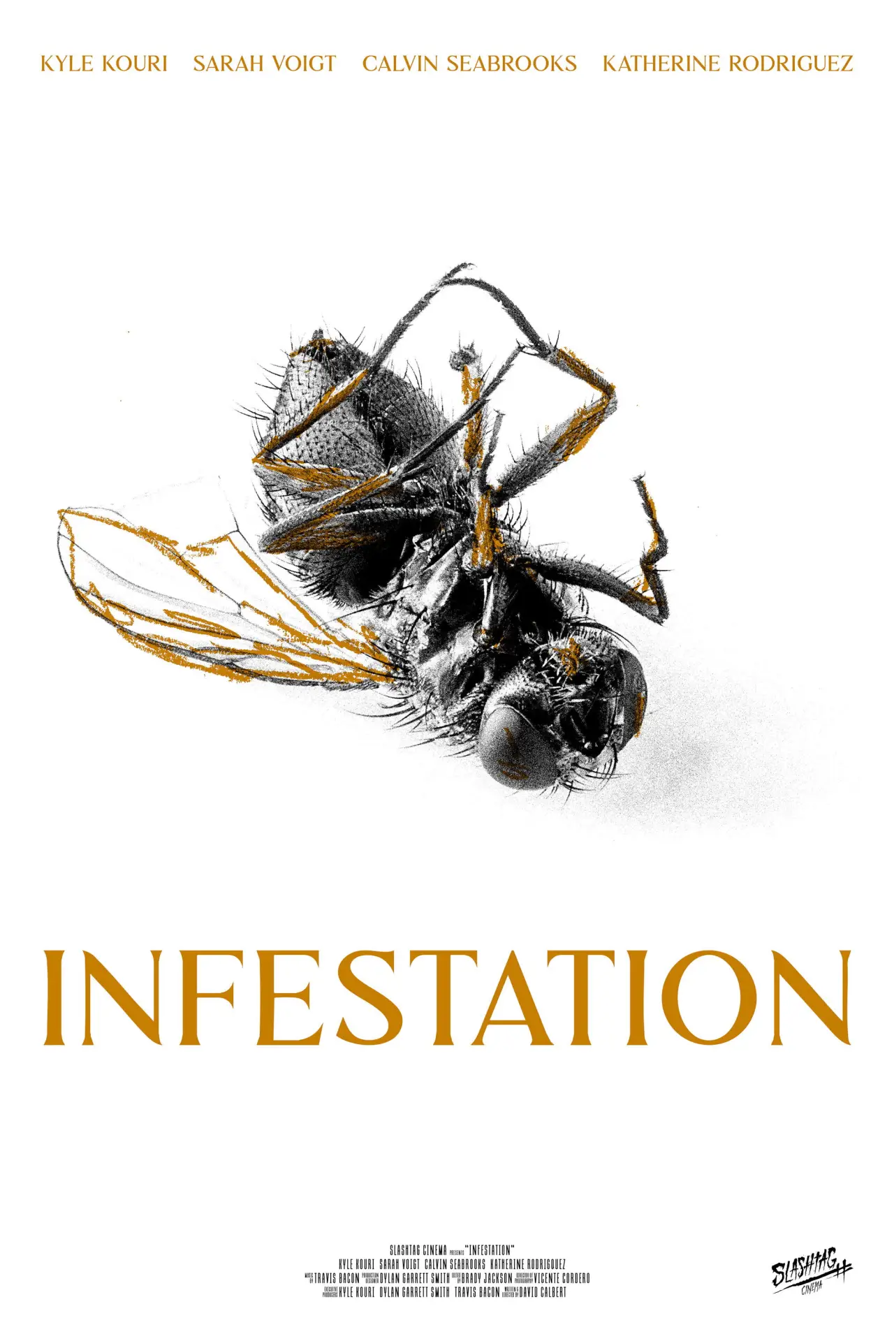 Постер к фильму "Infestation"