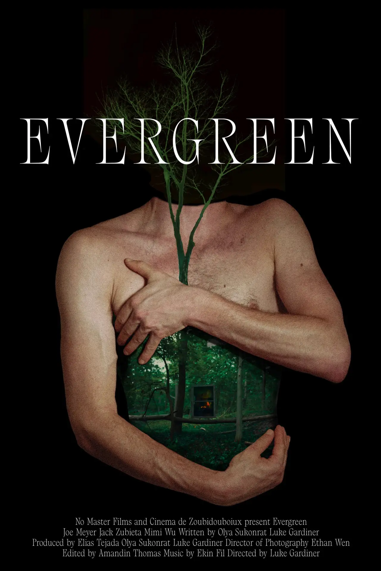 Постер к фильму "Evergreen"