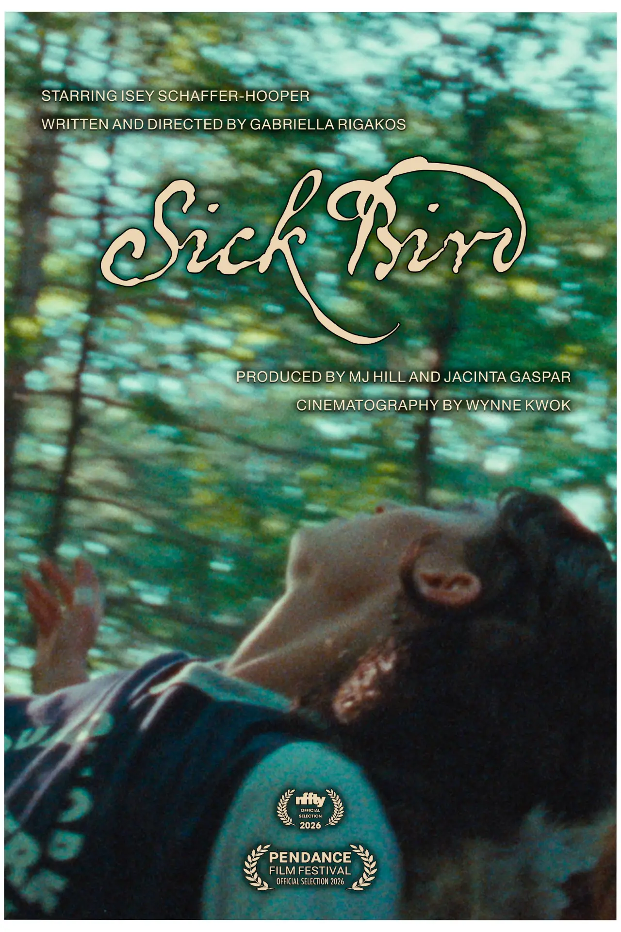 Постер к фильму "Sick Bird"
