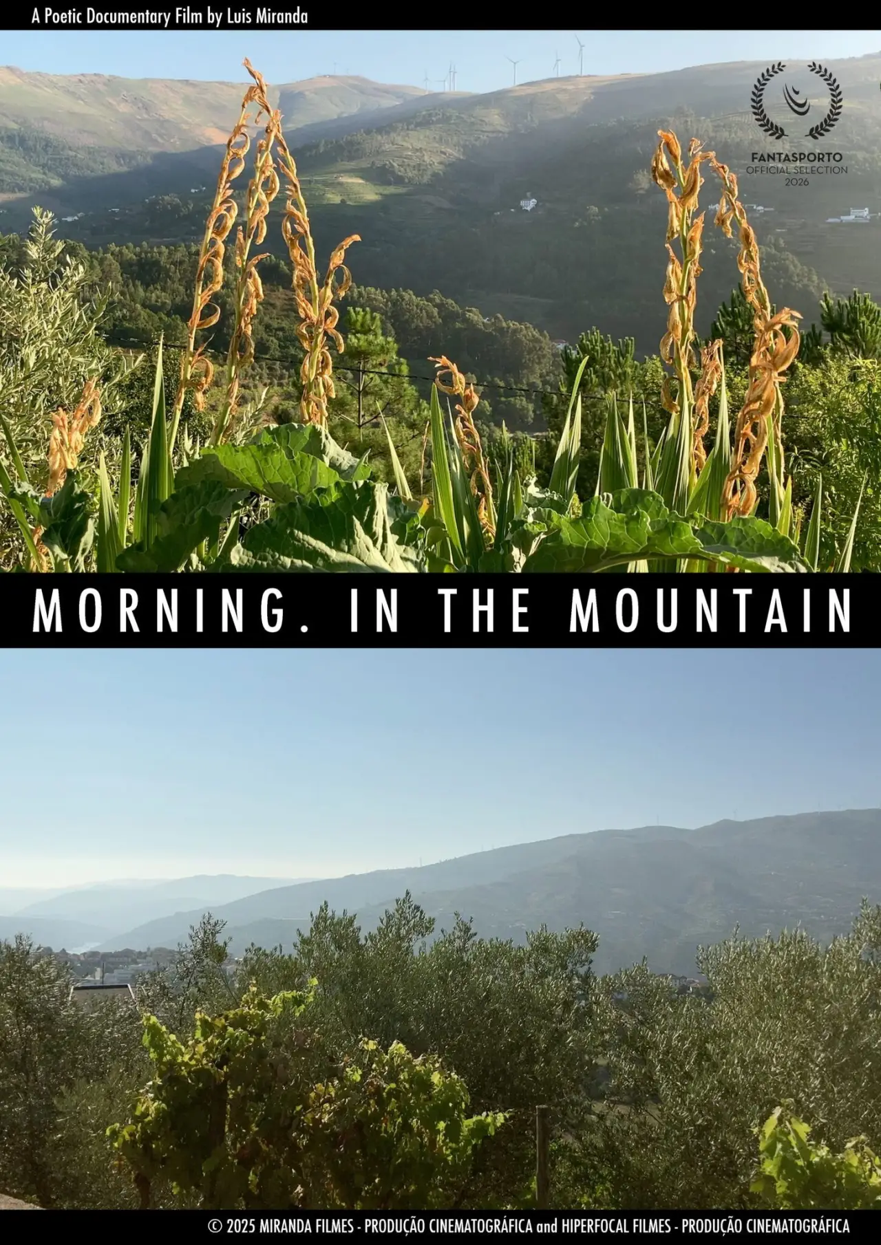 Постер к фильму "Manhã, na Montanha"