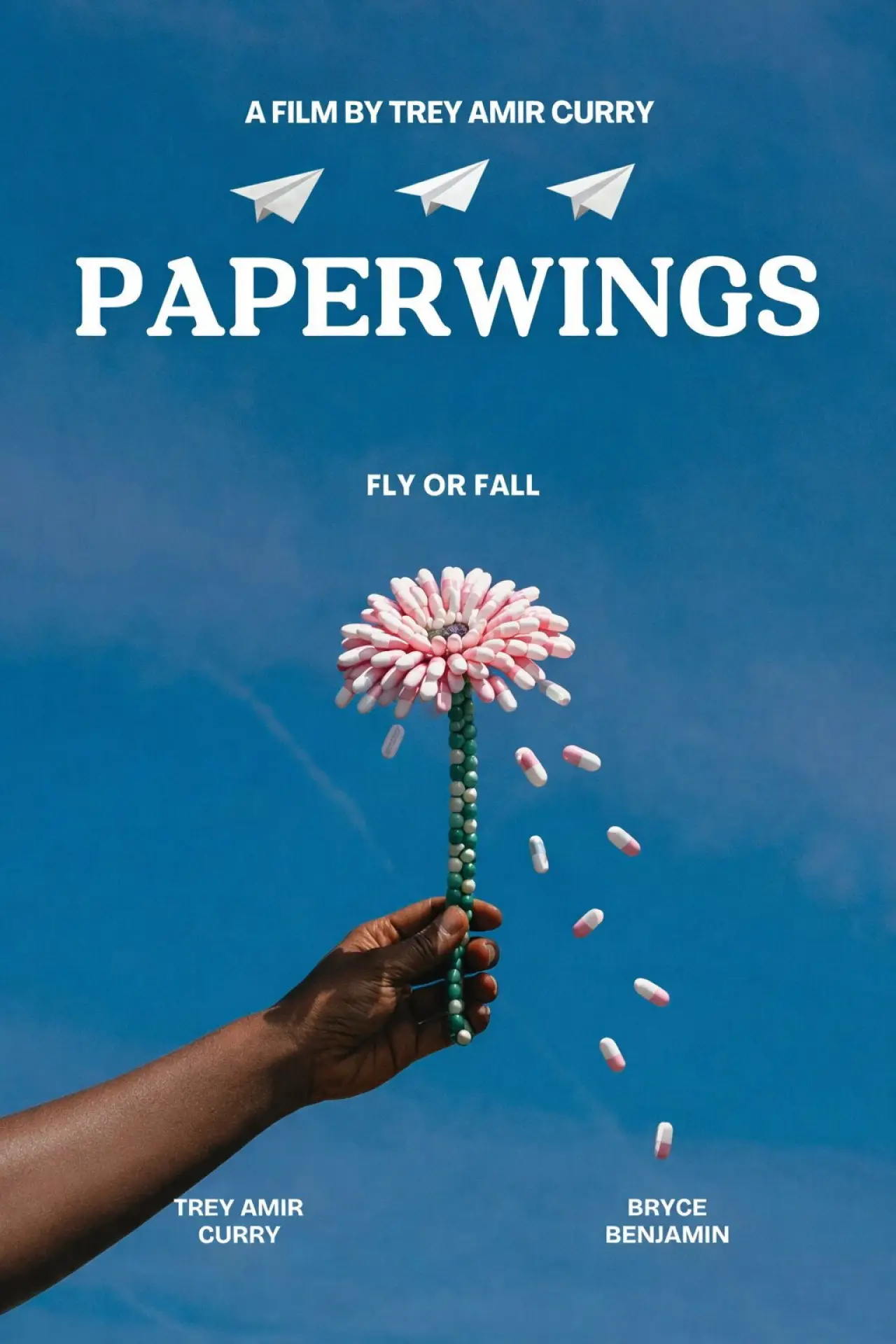 Постер к фильму "PAPERWINGS"