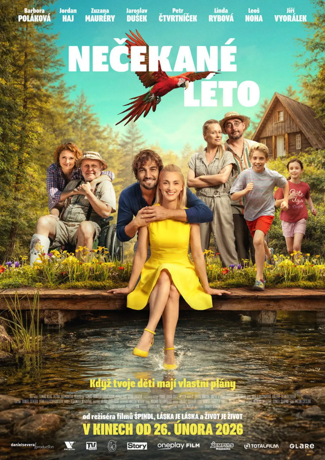 Постер к фильму "Nečekané léto"