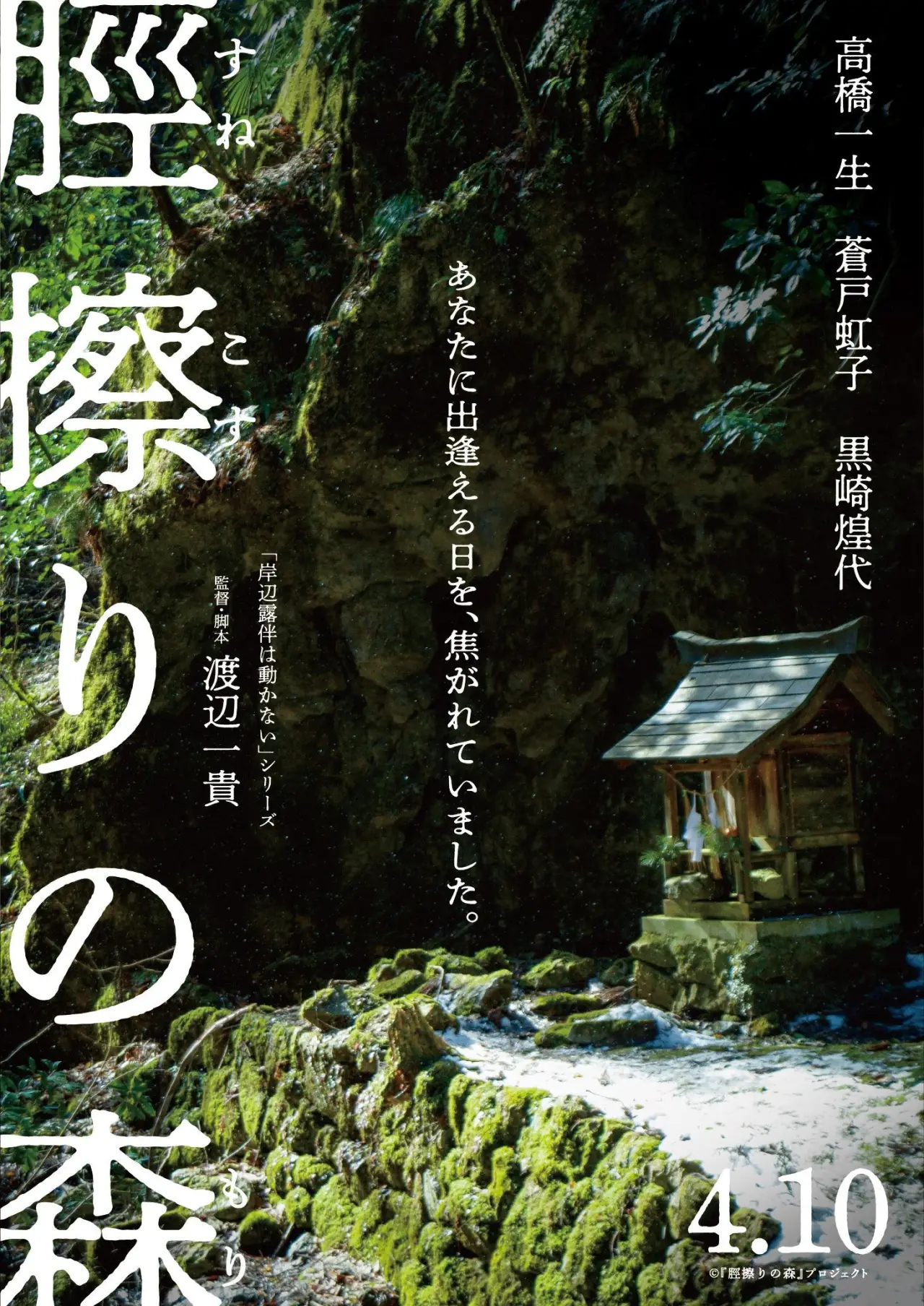 Постер к фильму "脛擦りの森"