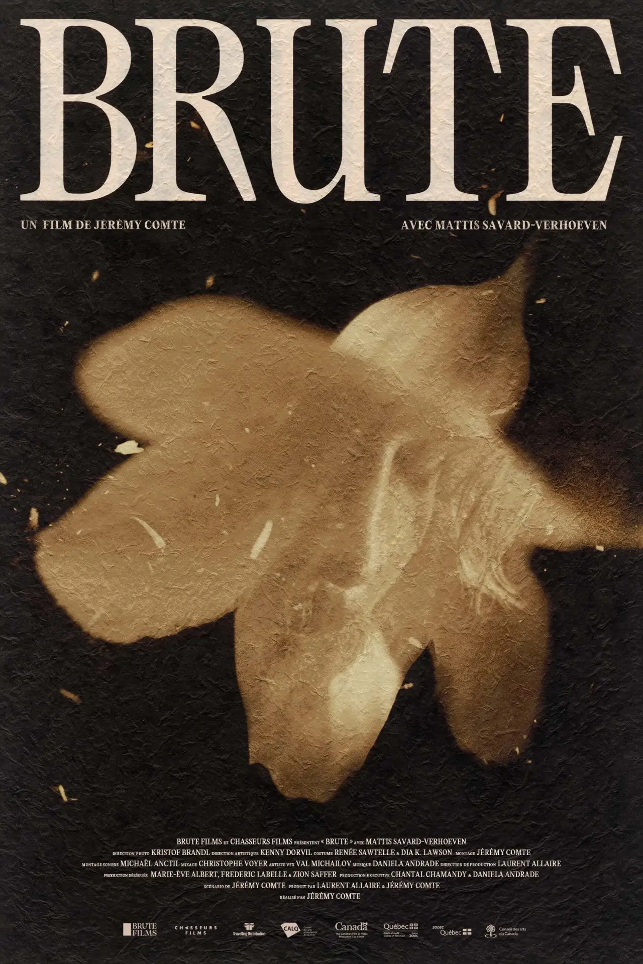 Постер к фильму "Brute"