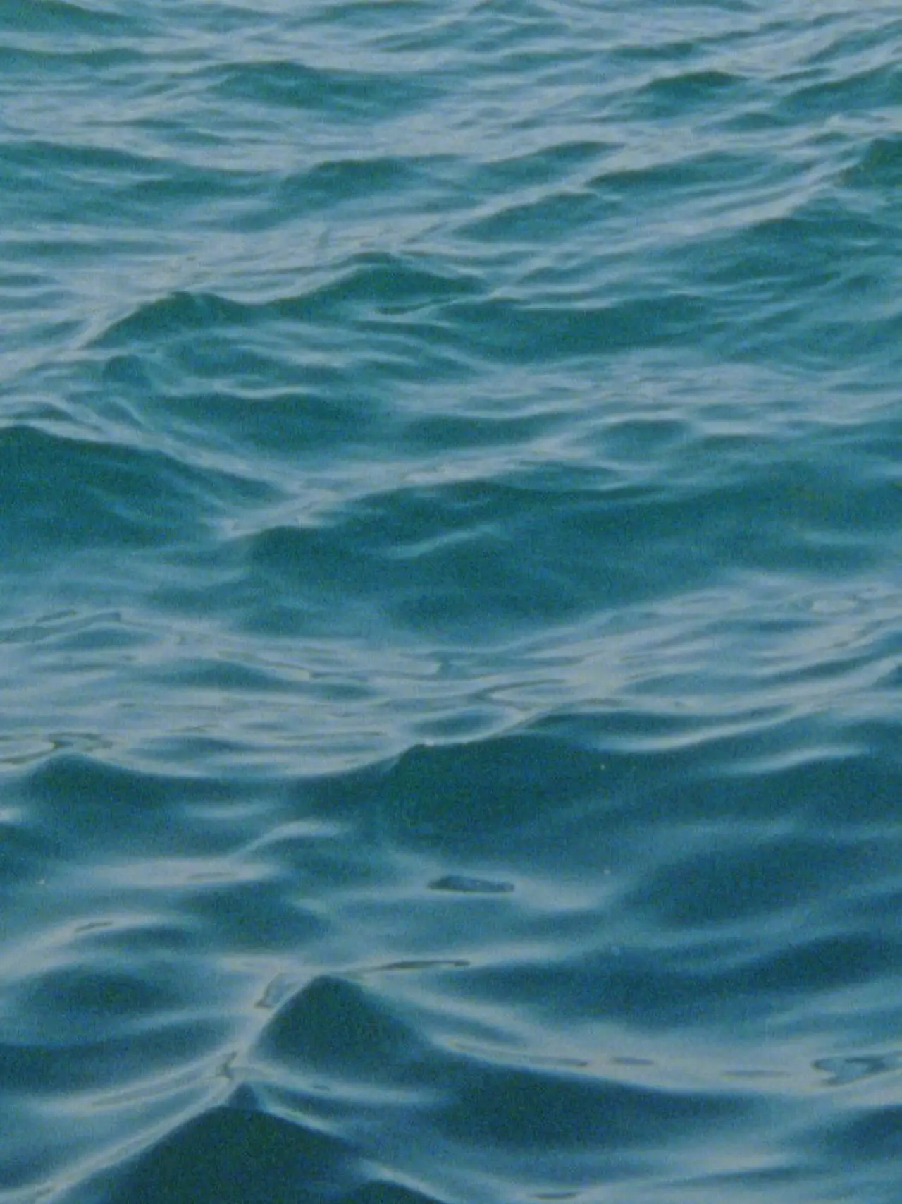 Постер к фильму "Water Diary"