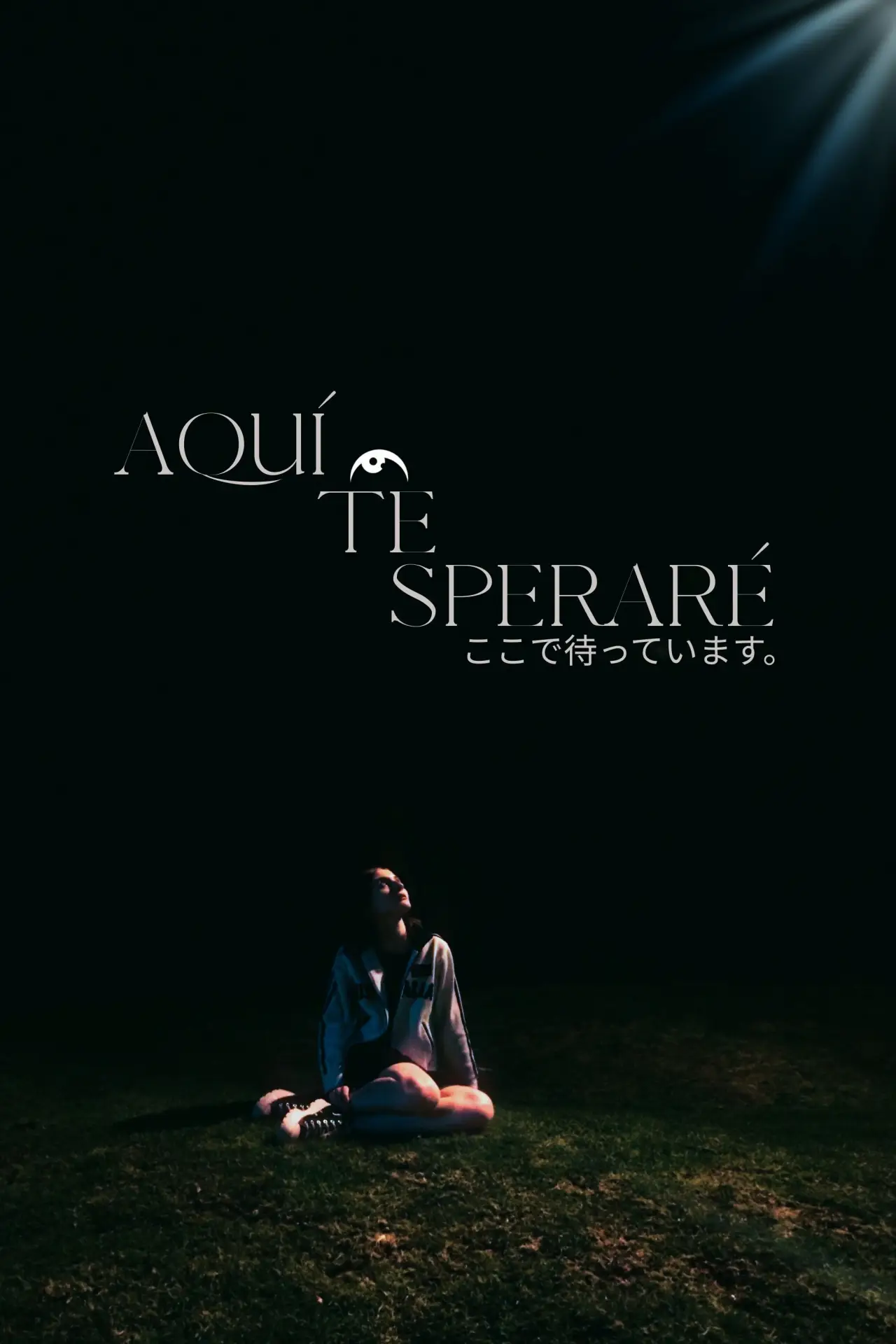 Постер к фильму "Aquí Te Esperaré"