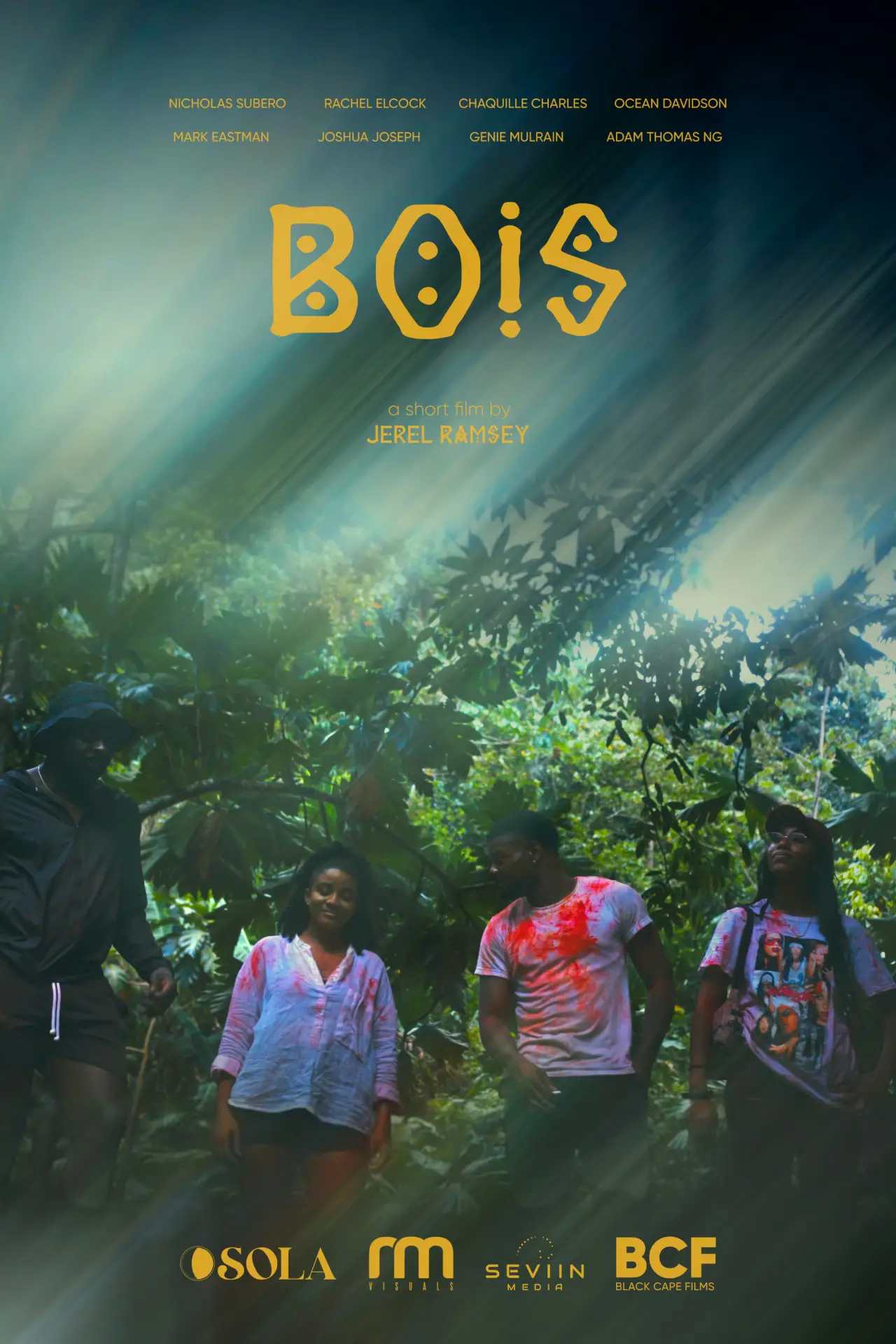 Постер к фильму "Bois"