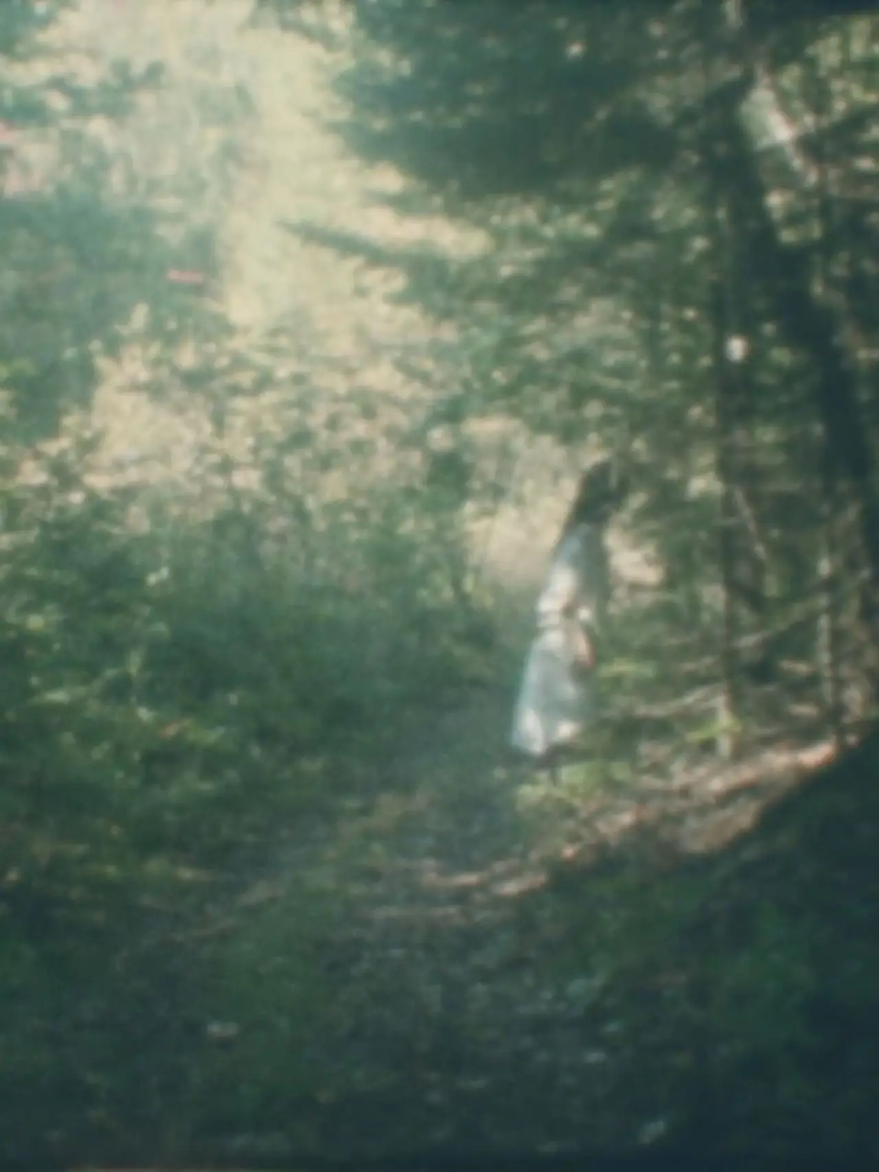 Постер к фильму "Femme forêt"