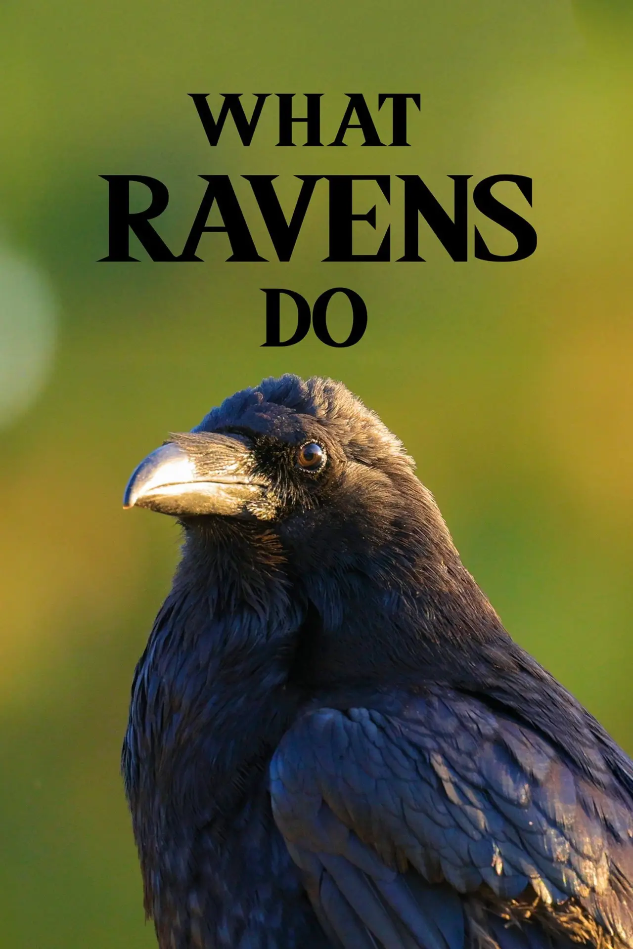 Постер к фильму "What Ravens Do"