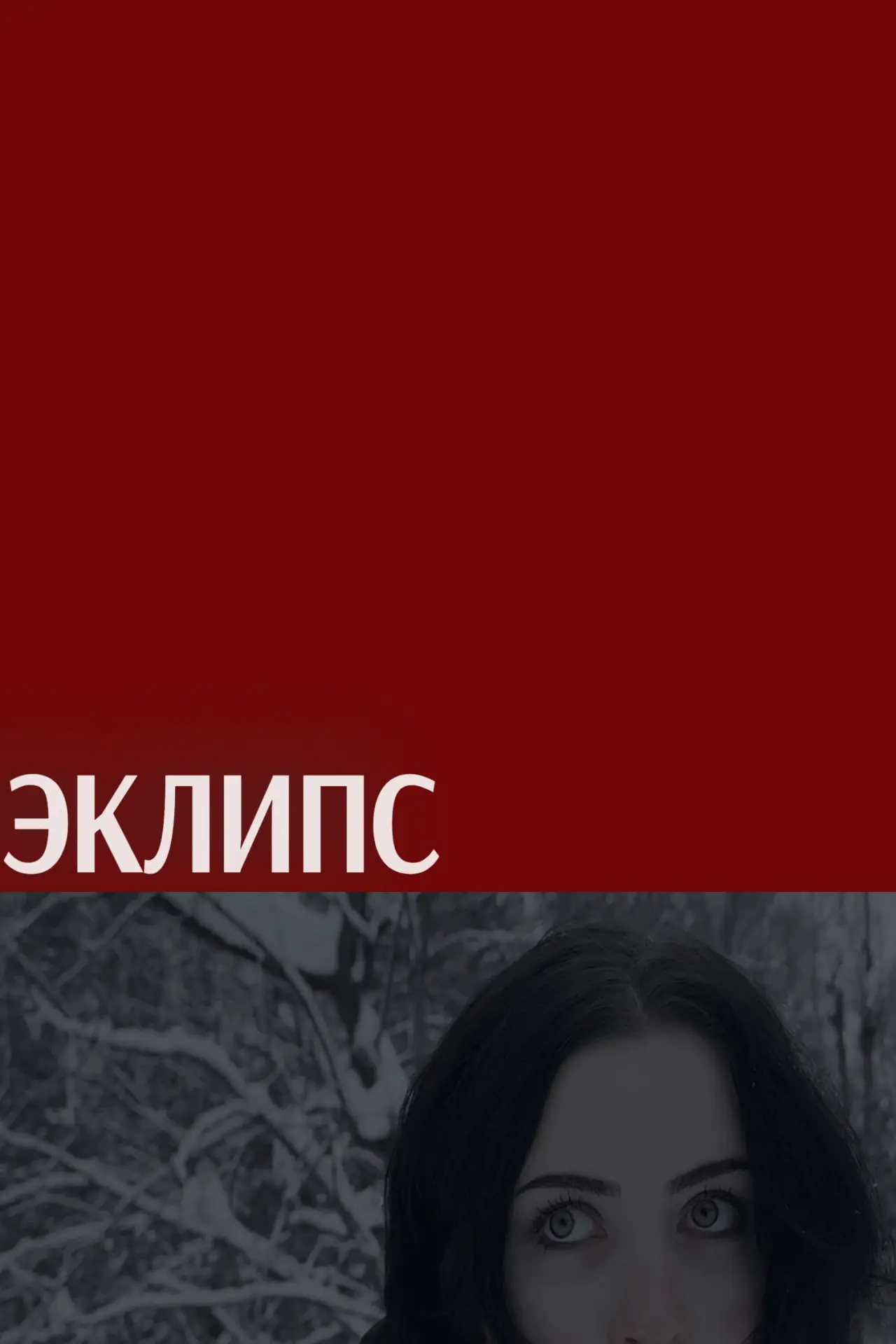 Постер к фильму "Эклипс"