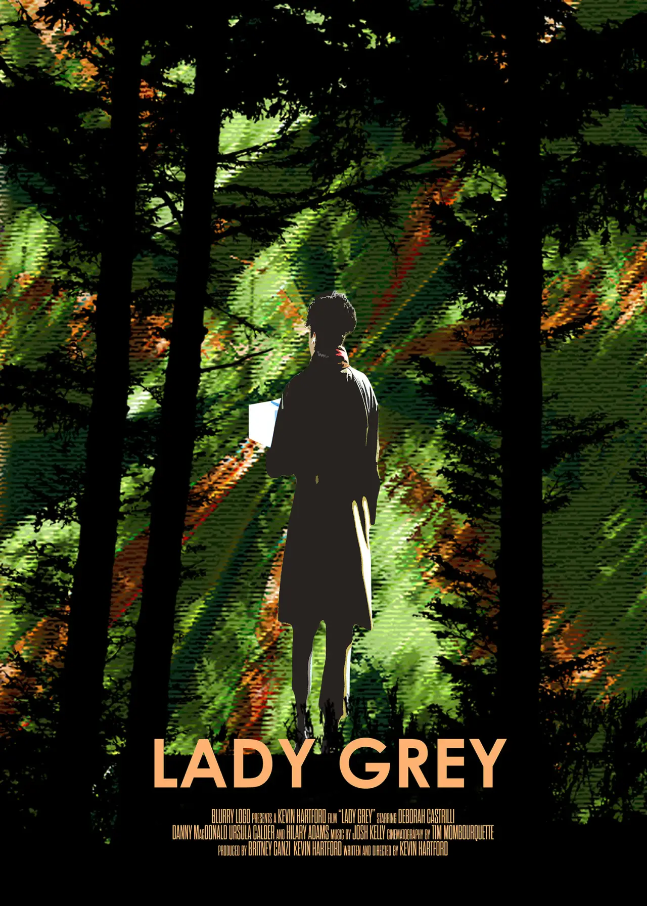 Постер к фильму "Lady Grey"