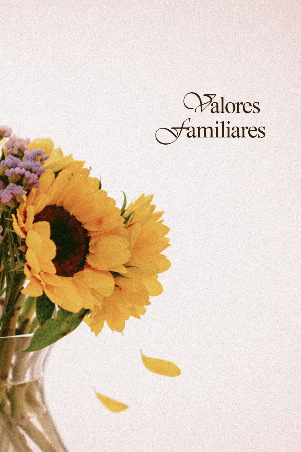 Постер к фильму "Valores Familiares"