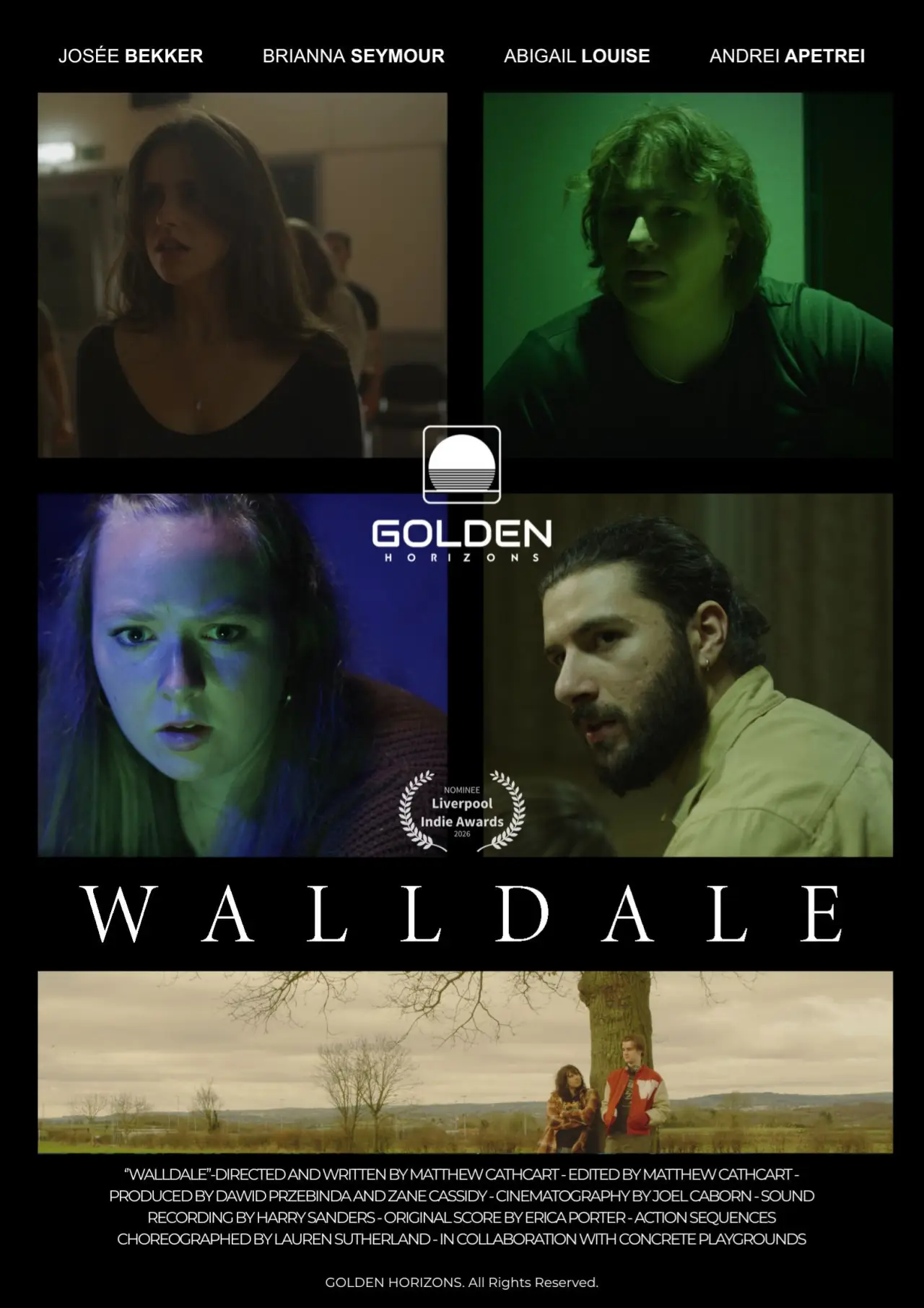 Постер к фильму "WallDale"