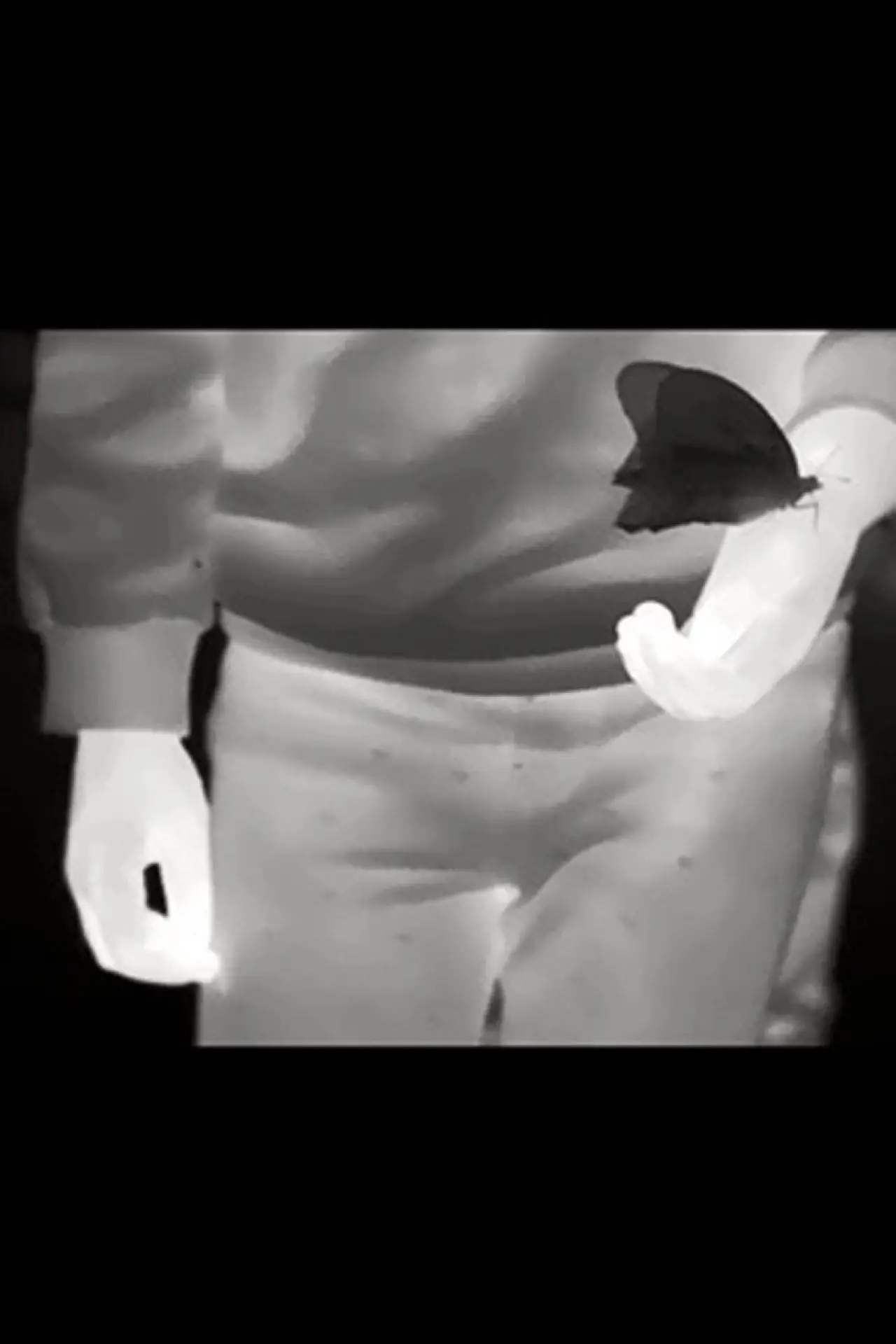 Постер к фильму "White Hot Iron Rainbow"