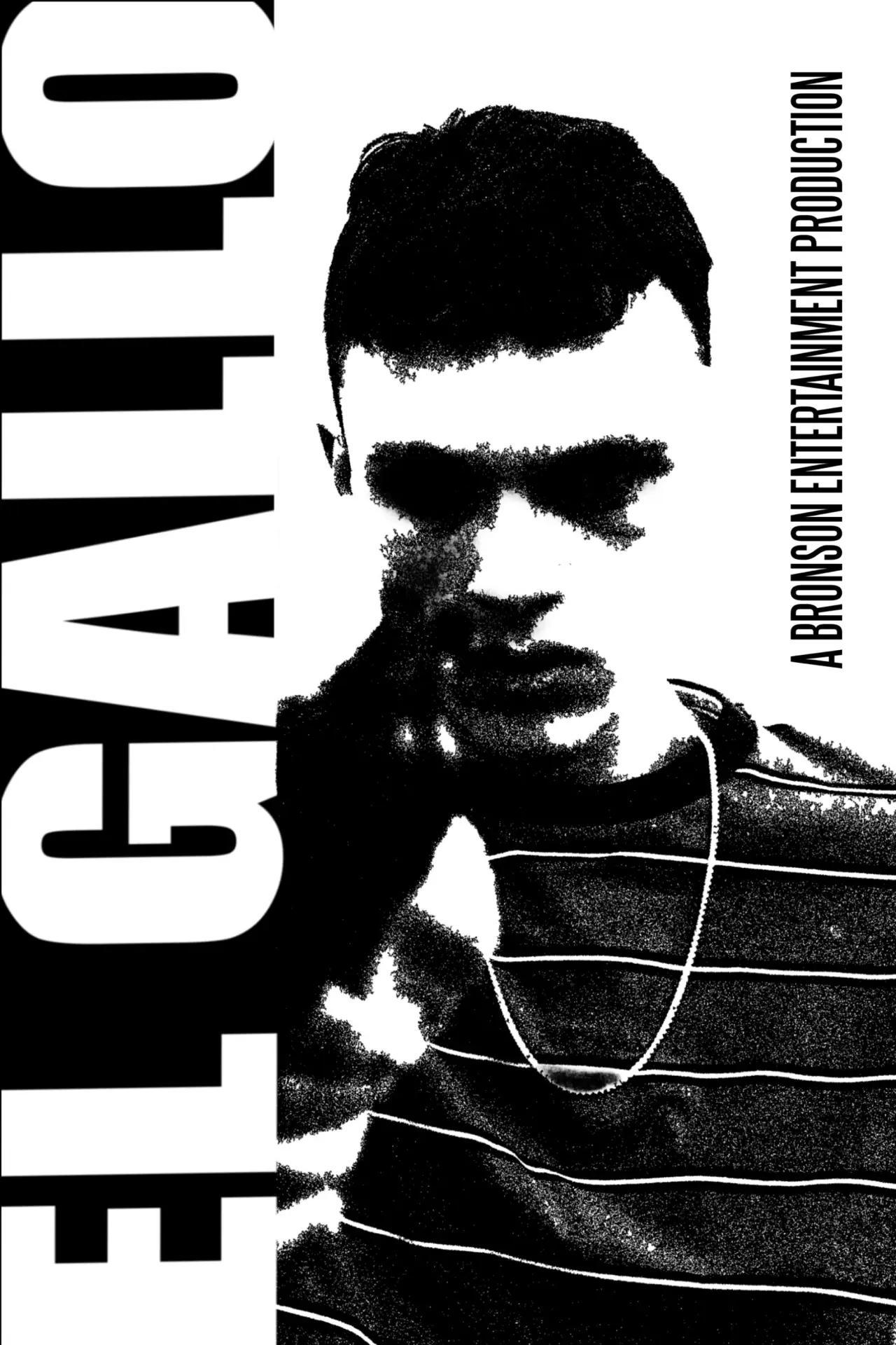 Постер к фильму "El Gallo"