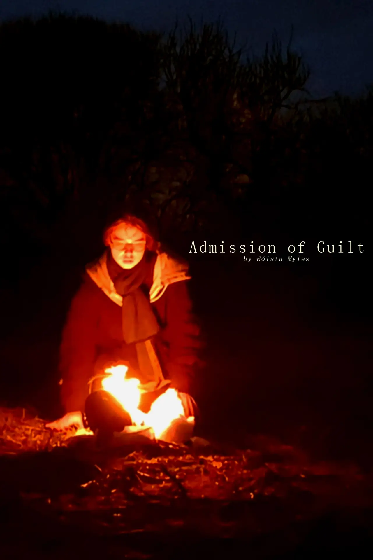 Постер к фильму "Admission of Guilt"