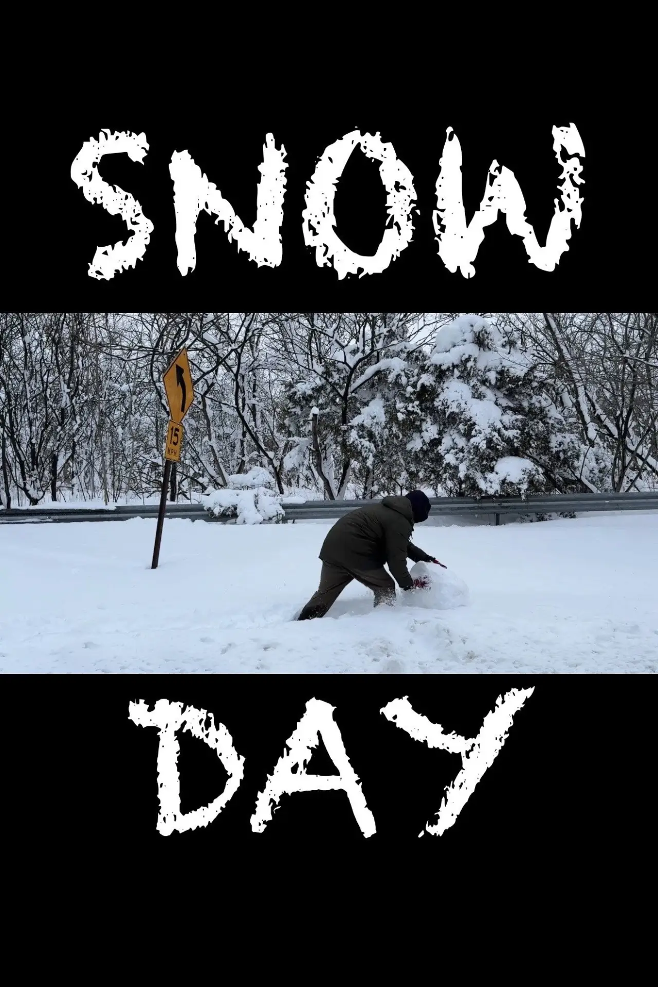 Постер к фильму "Snowday"