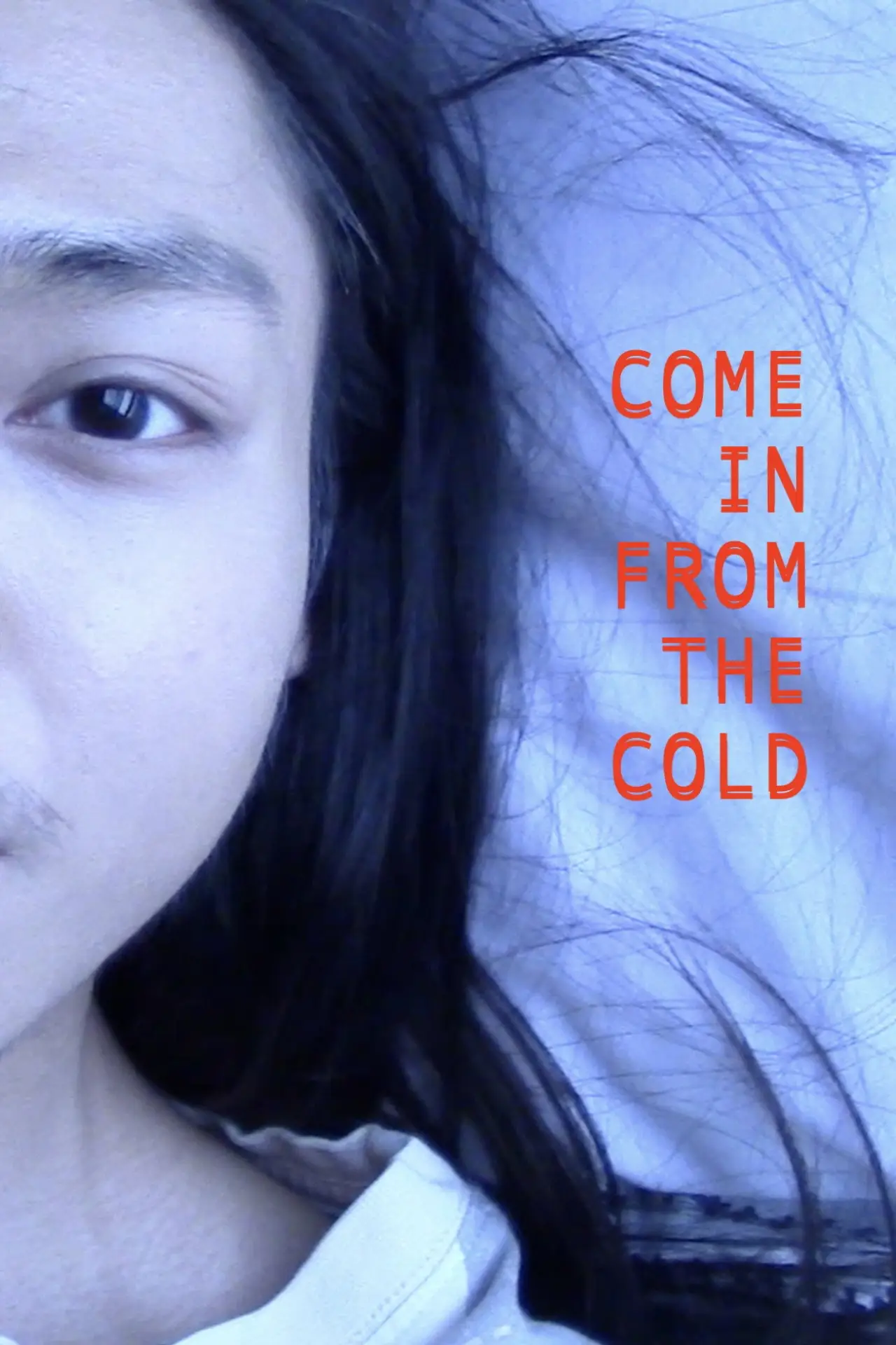 Постер к фильму "Come In From the Cold"