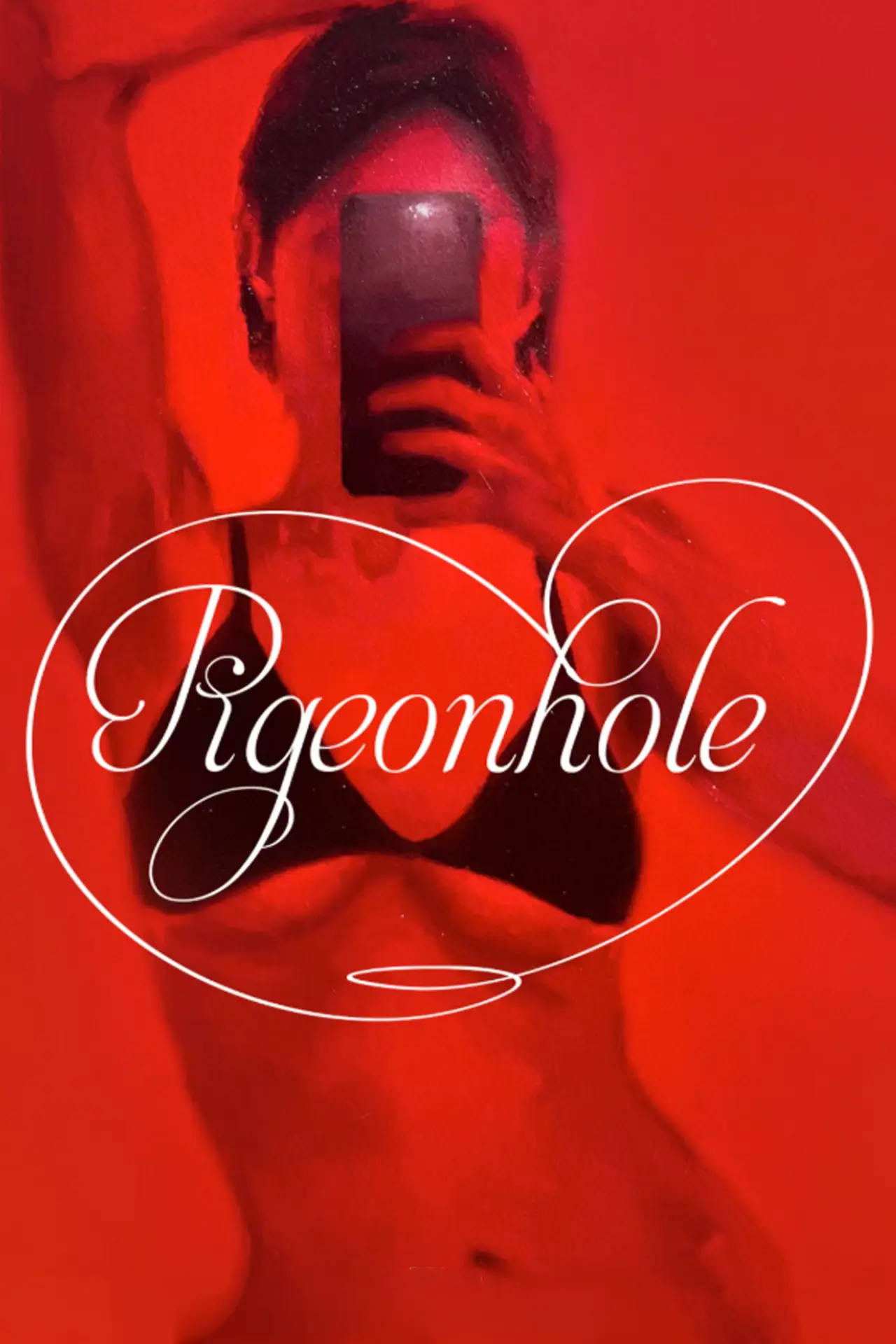 Постер к фильму "pigeonhole"