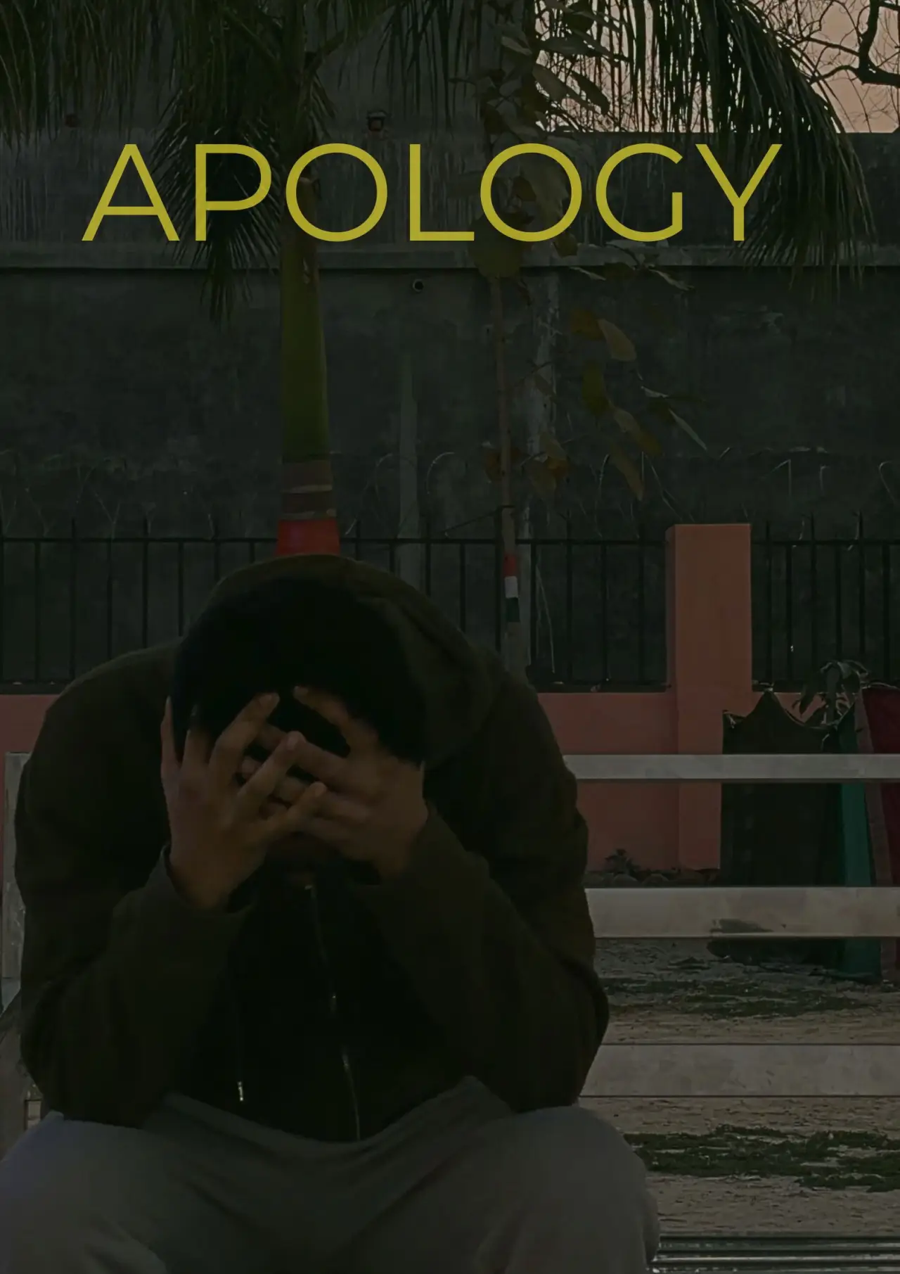 Постер к фильму "Apology"