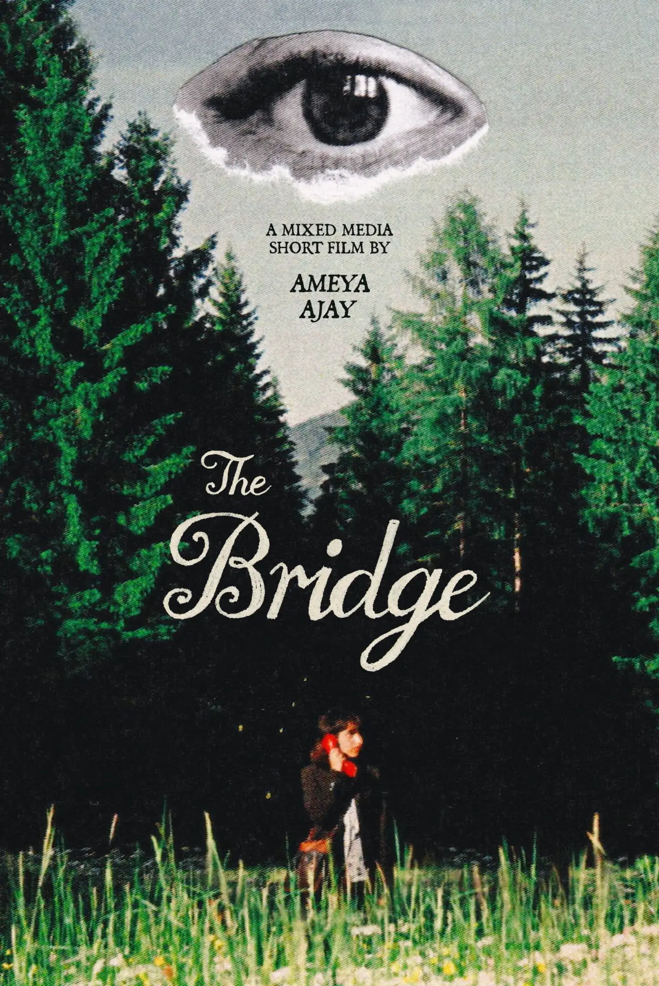 Постер к фильму "The Bridge"