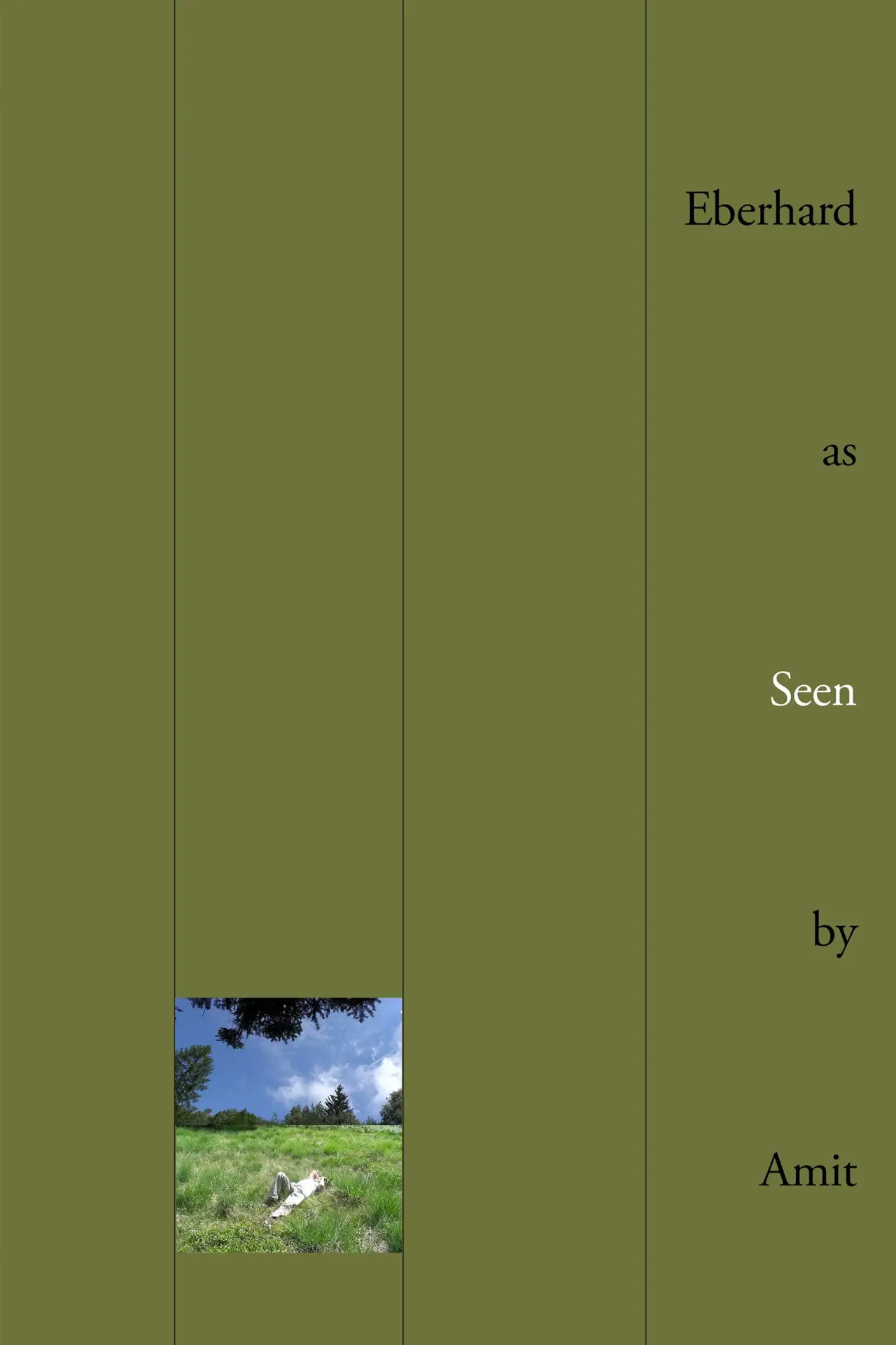 Постер к фильму "Eberhard as Seen by Amit"