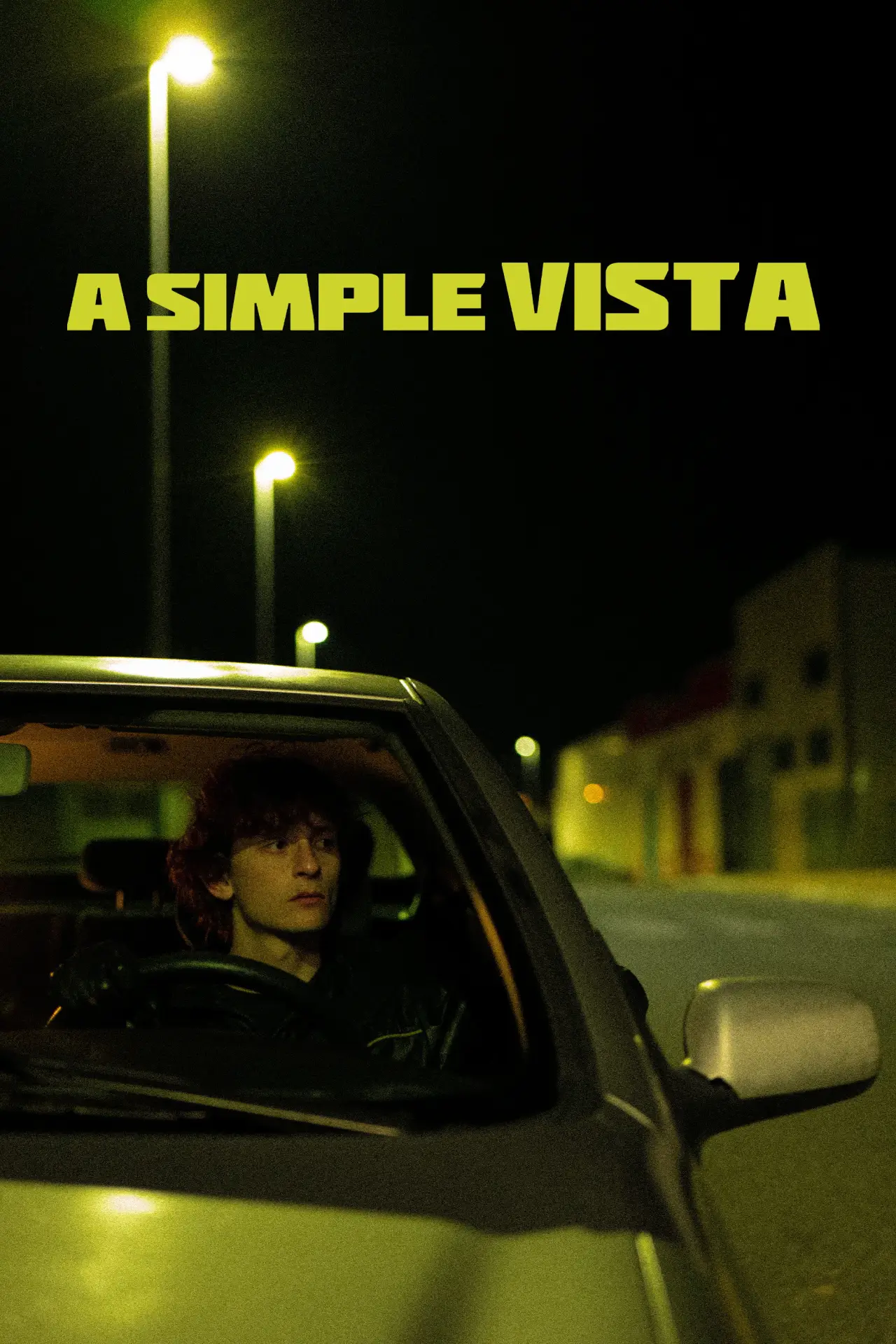 Постер к фильму "A simple vista"