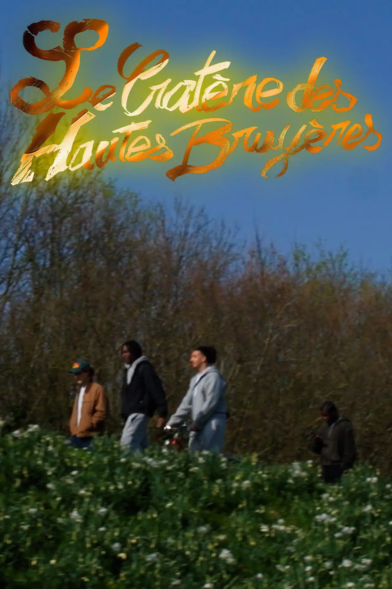 Постер к фильму "Le cratère des Hautes-Bruyères"