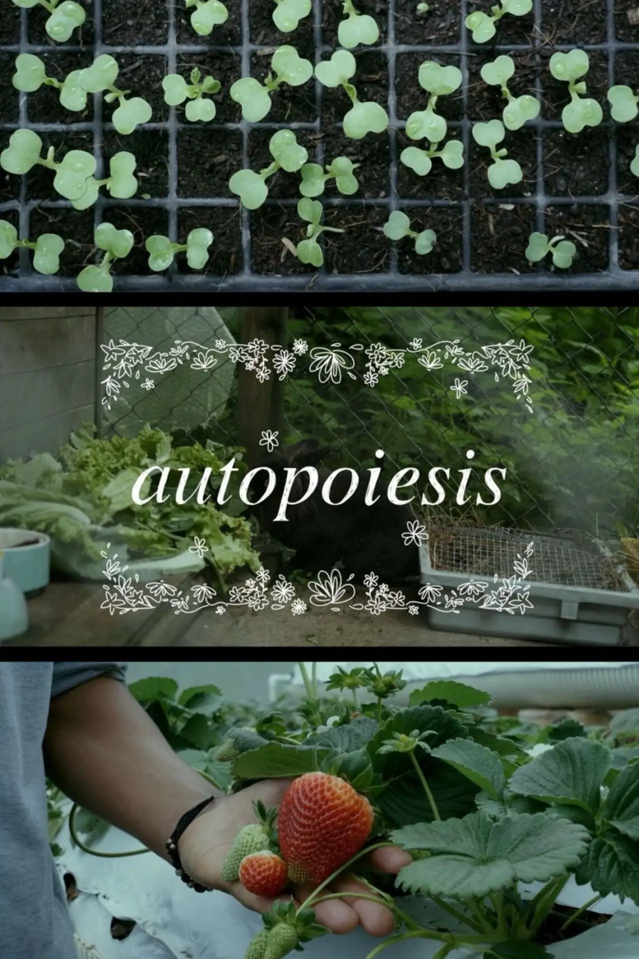 Постер к фильму "Autopoiesis"