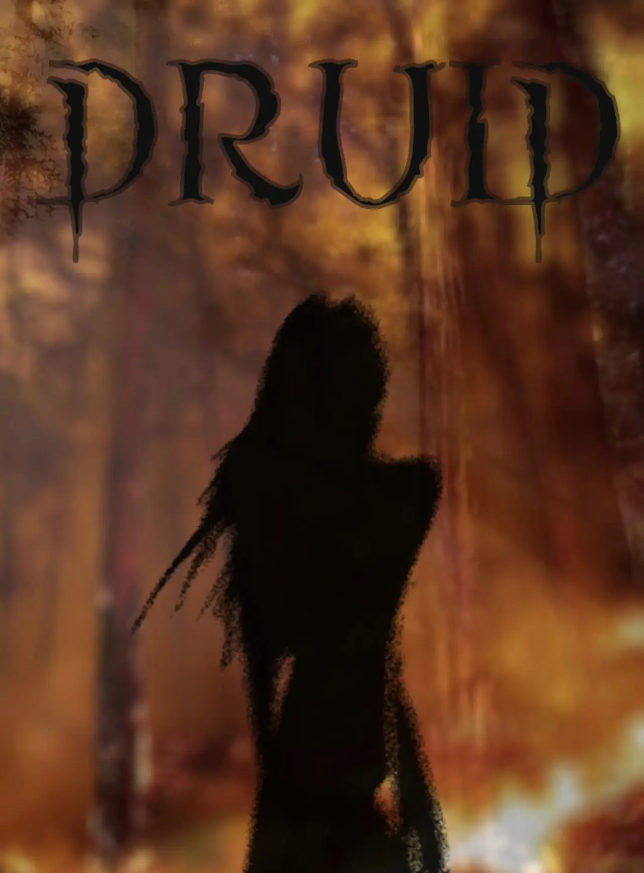 Постер к фильму "DRUID"