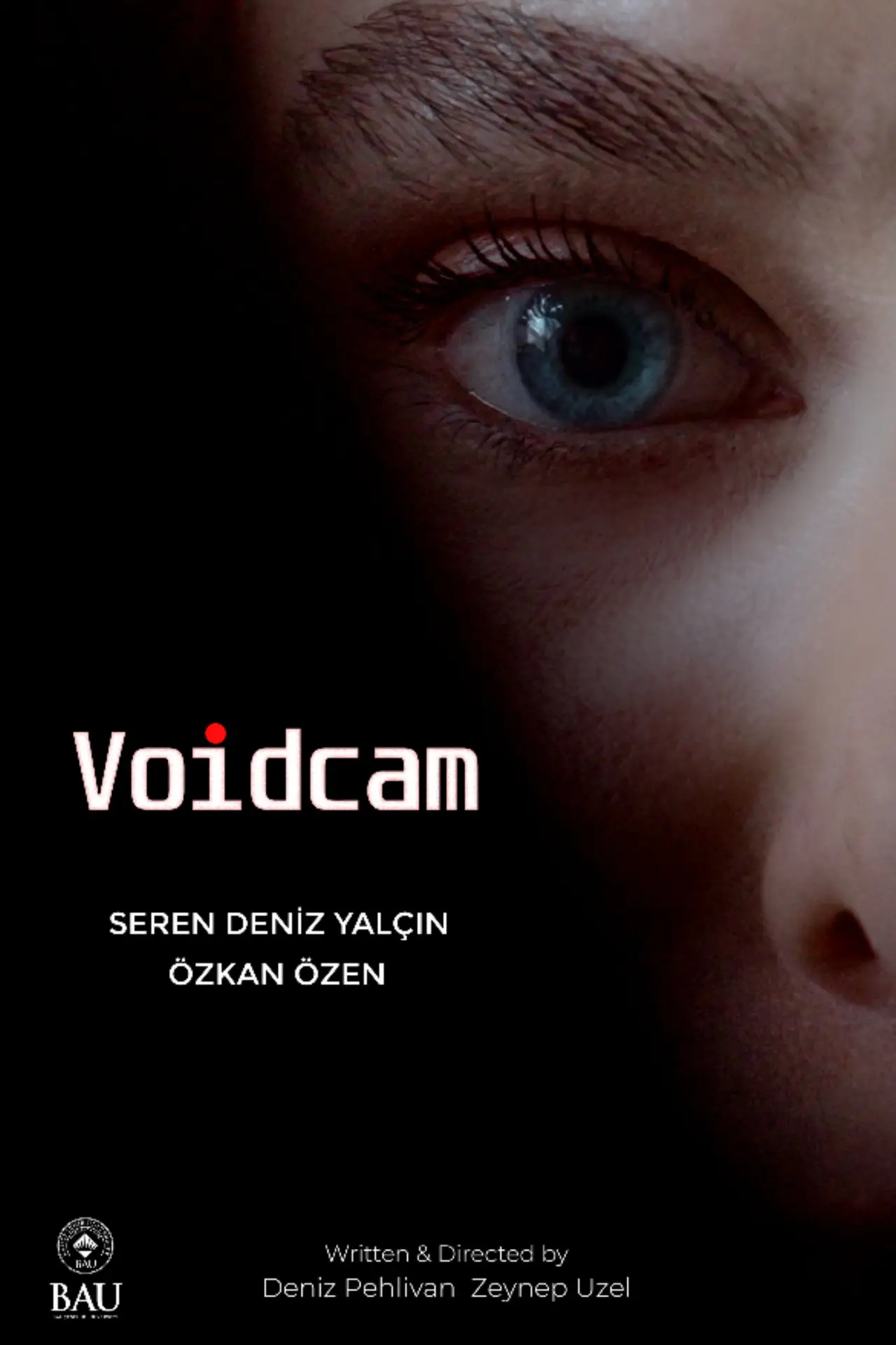 Постер к фильму "Voidcam"